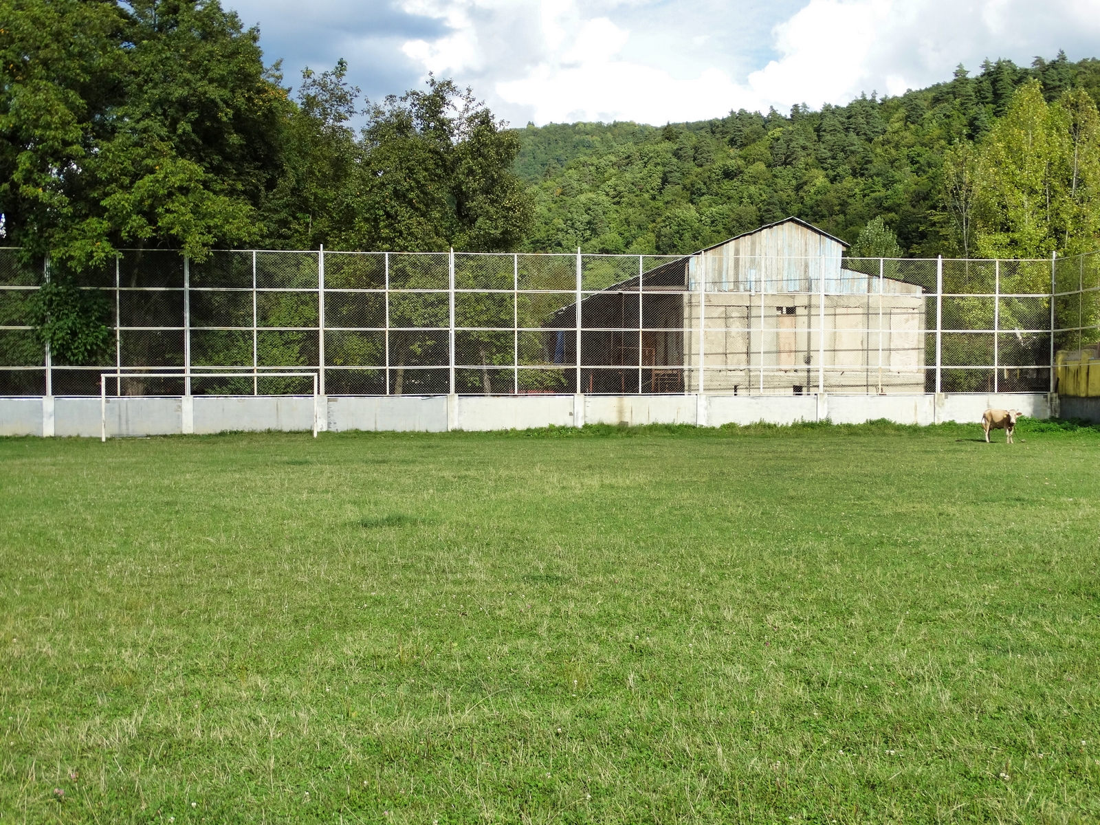 DSC03377 (Kopiowanie).jpg