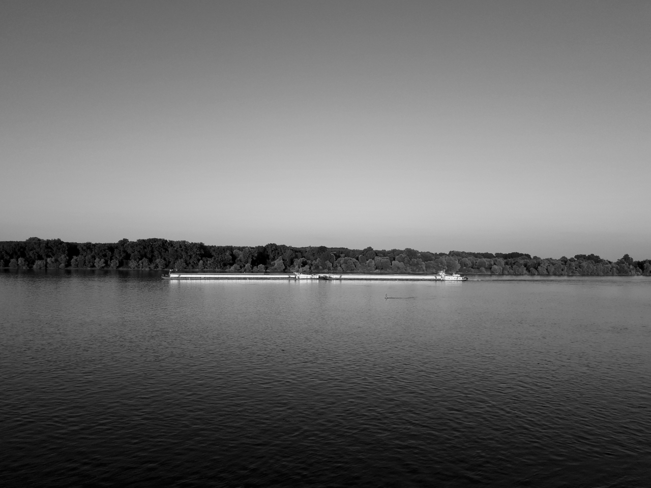 20200821_190631.jpg
