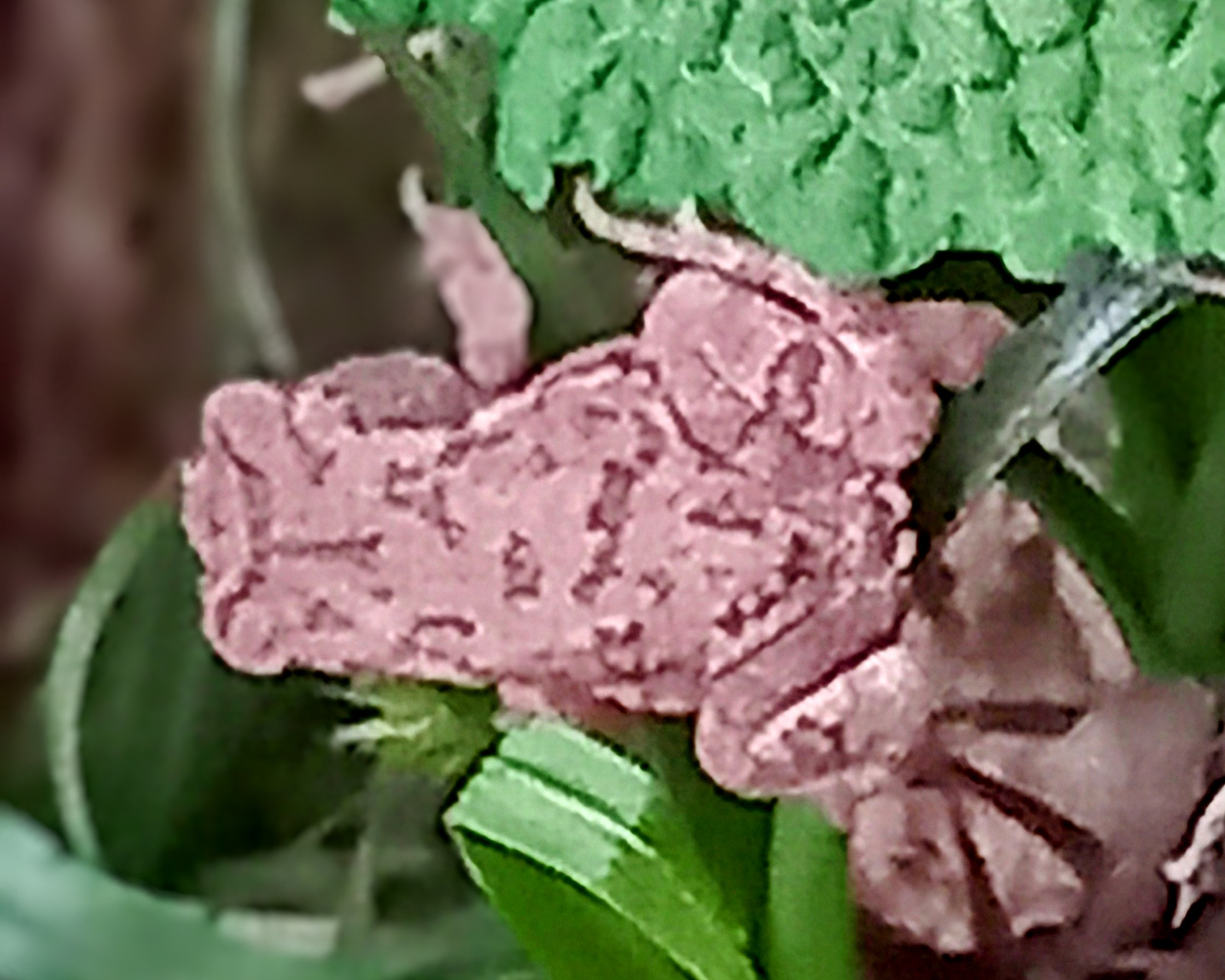 20250326_182246~3.jpg