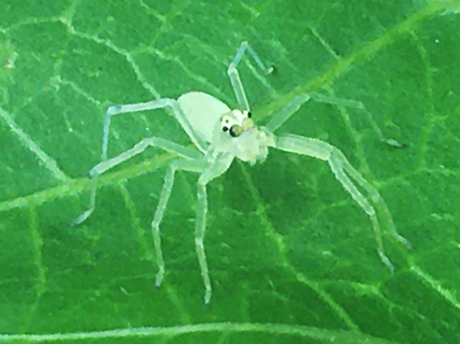 IMG_5655a.png