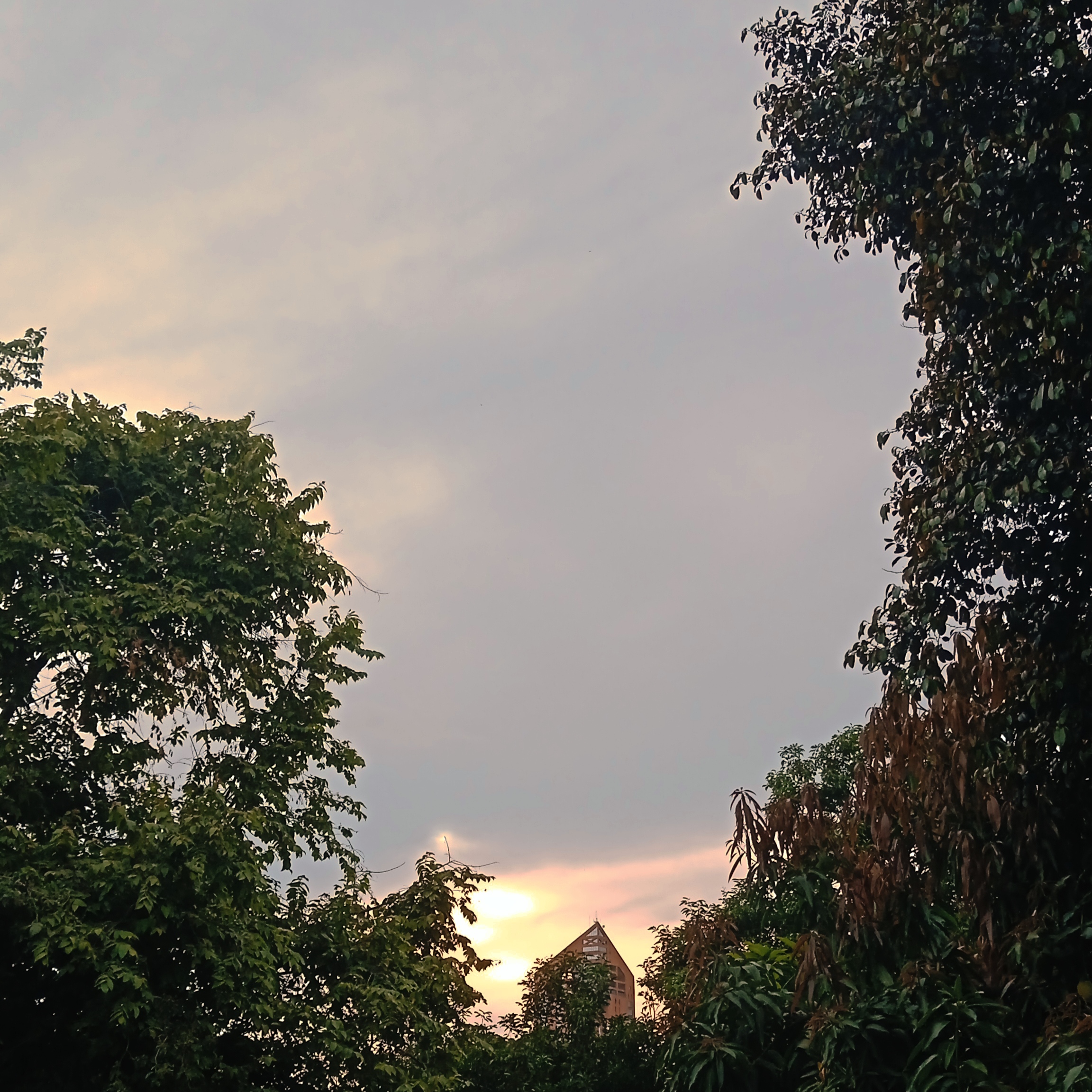 IMG_20230625_180332.jpg