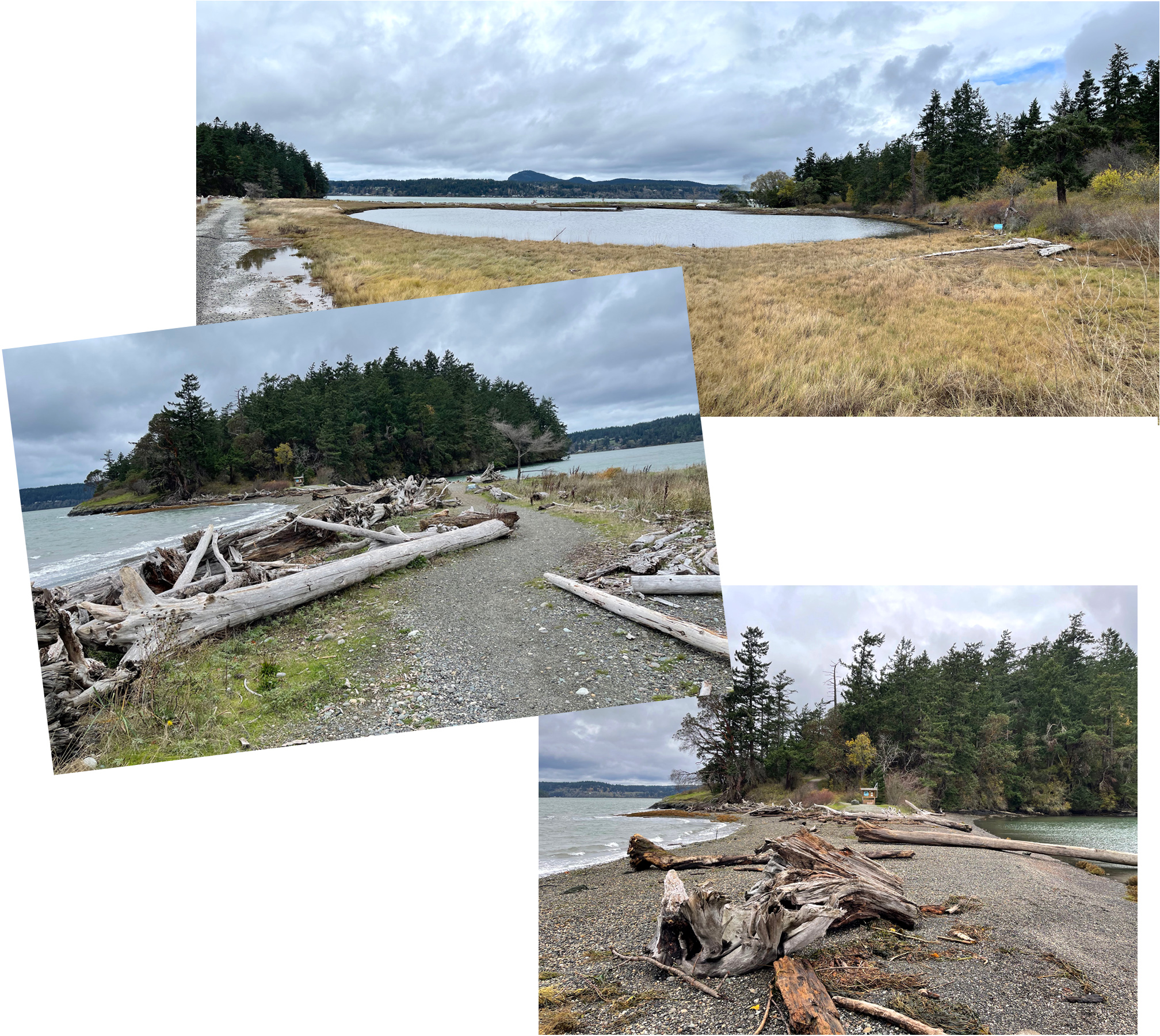 2-beaches.jpg