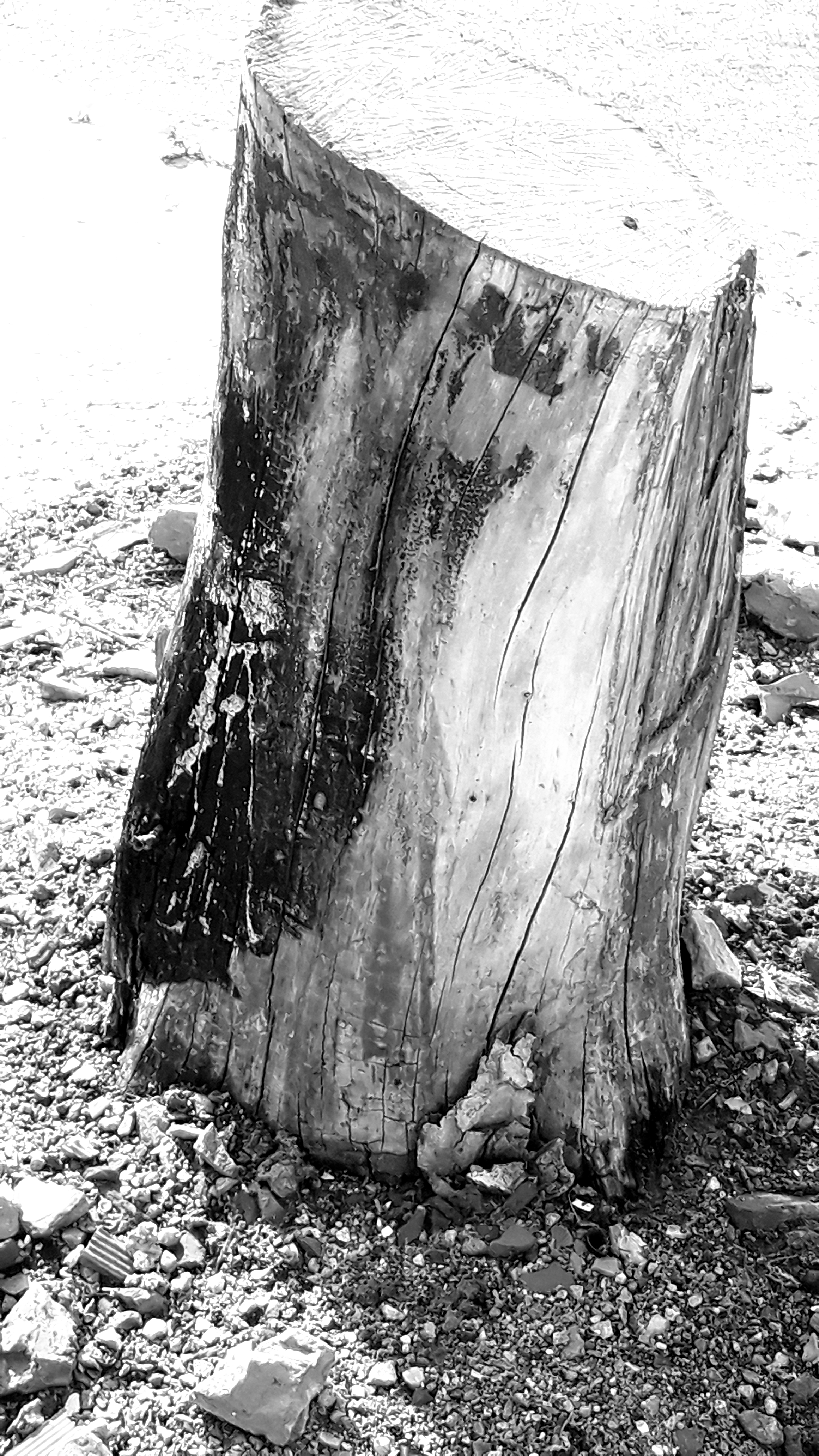 20210924_122002.jpg