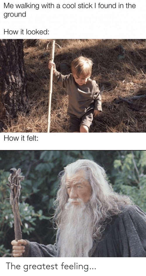 Meme.jpeg
