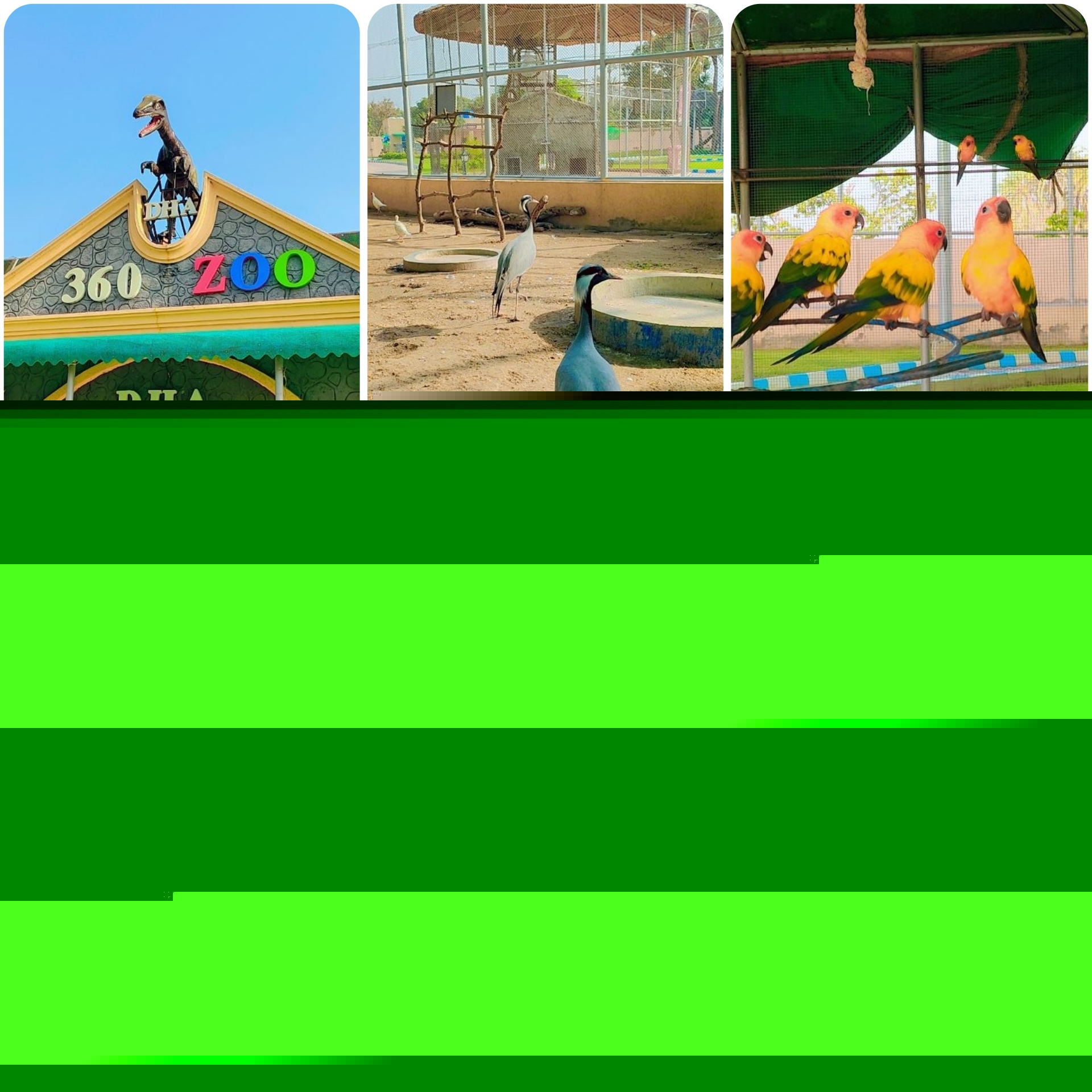 InCollage_20230828_160429426.jpg