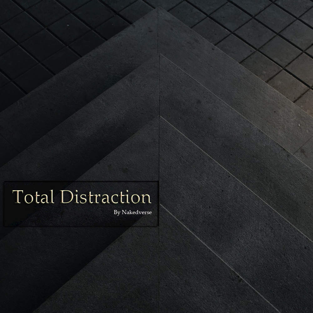 Total Distraction cover.jpg