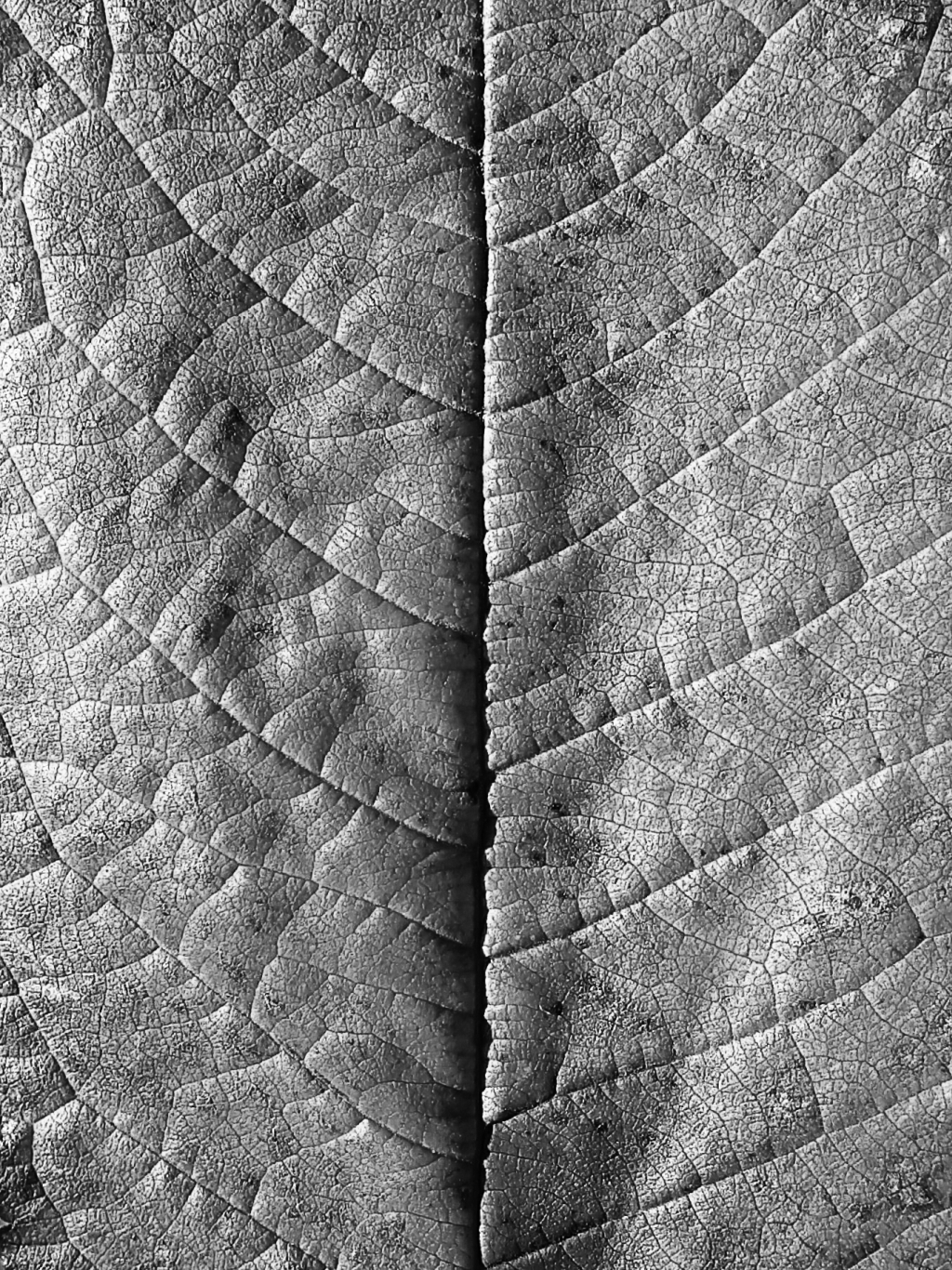 20181011_174223~8.jpg