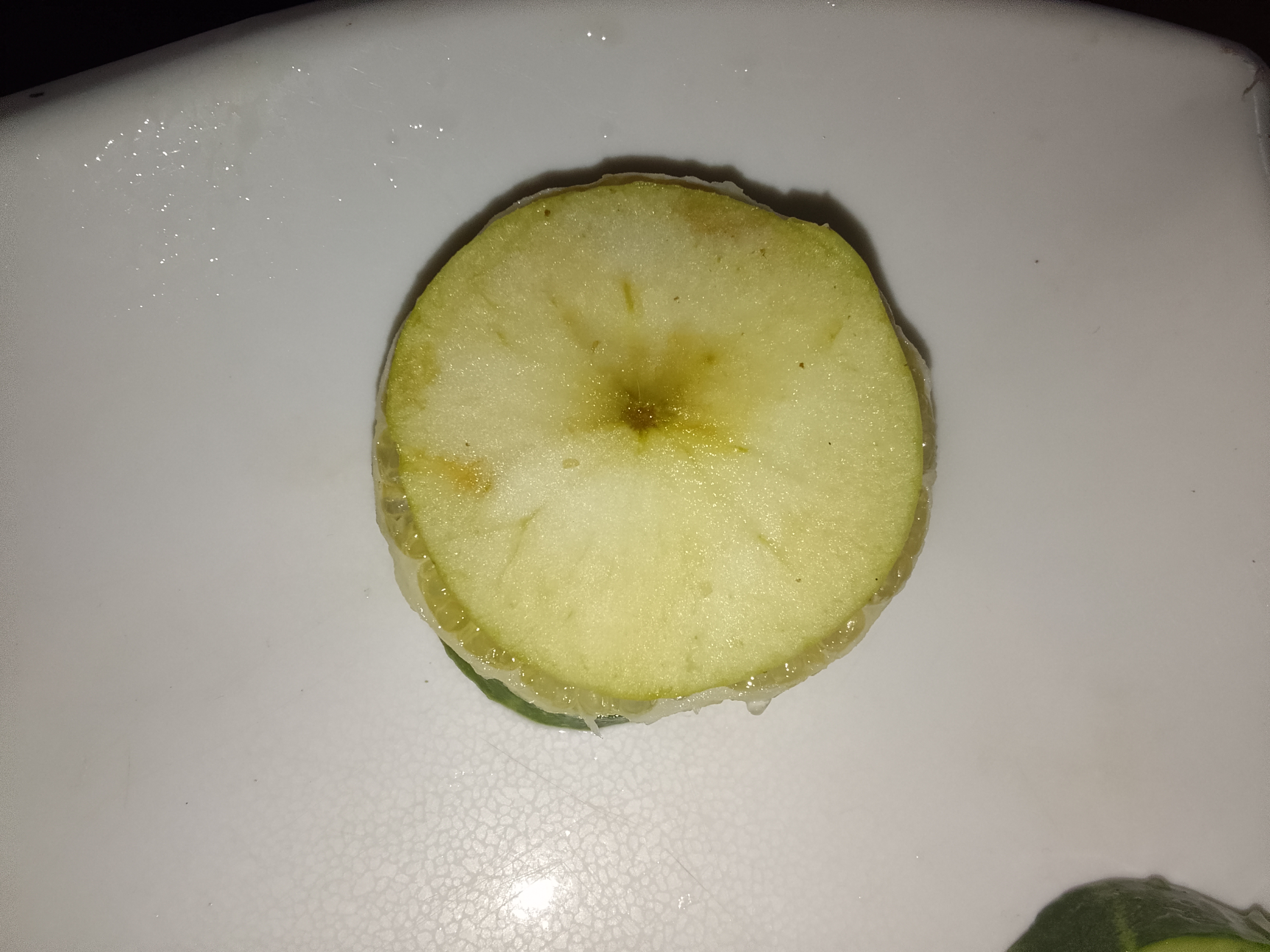 IMG_20250604_093756.jpg