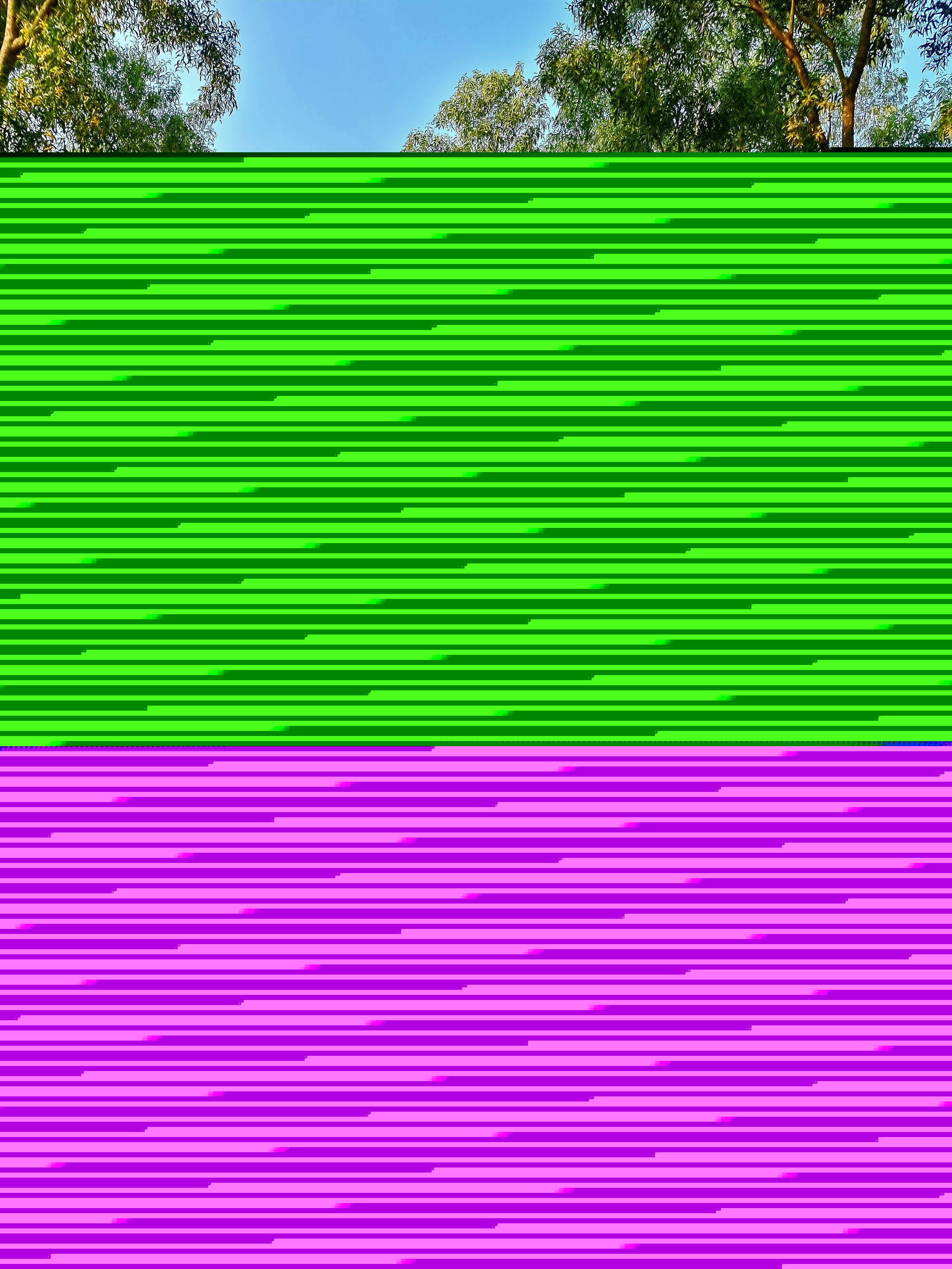 20211007_164600.jpg