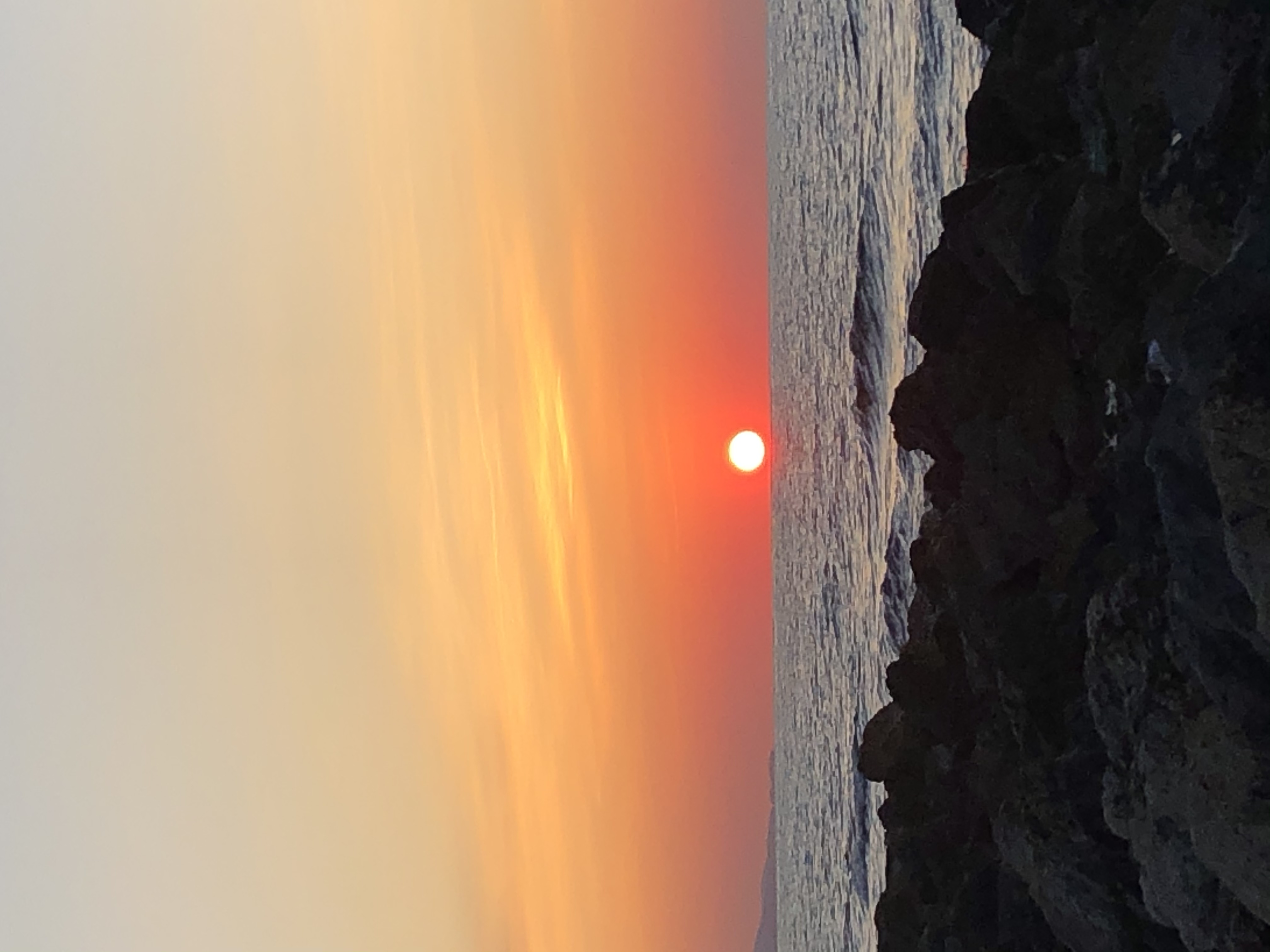 776015B6-DF78-4A3B-A03F-9DB338971275.jpeg