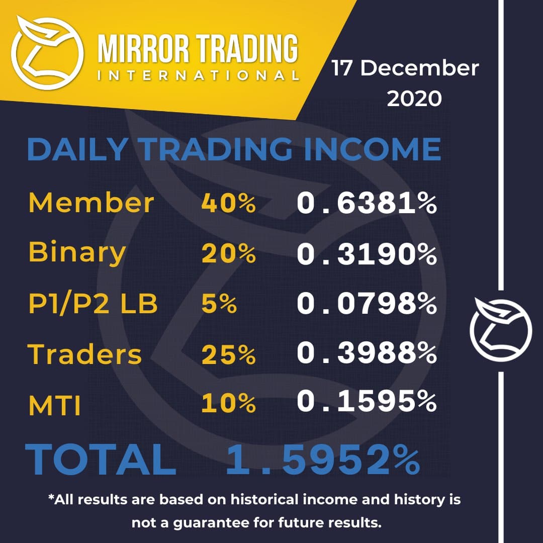 MTI_profit breakdown.jpg