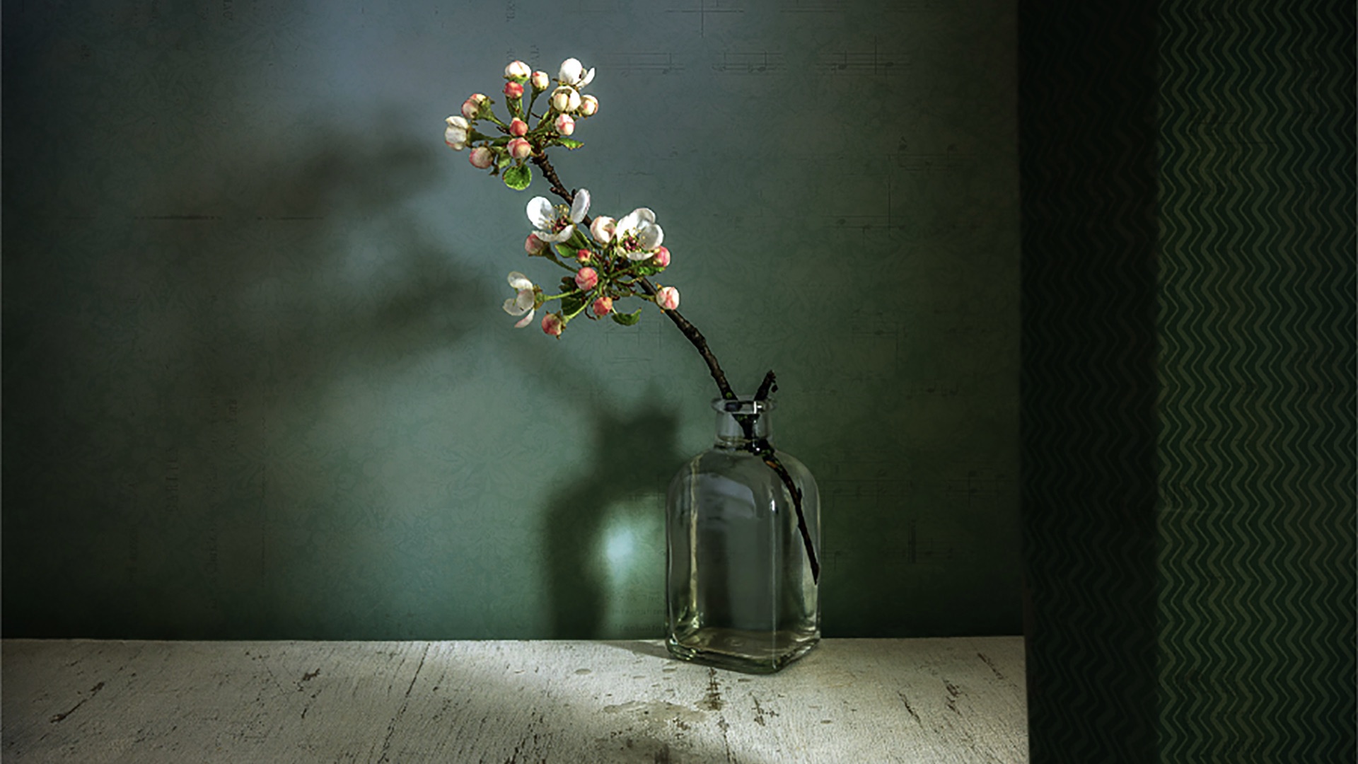 spring-pictures-By-Mykhailo-Sherman-.jpeg