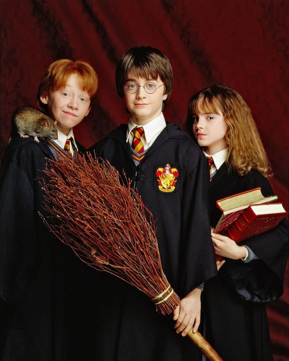Trio_in_their_younger_days_Harry,_Ron_and_Hermione.webp
