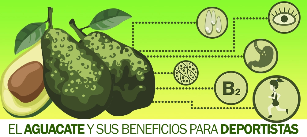 AGUACATEm.webp