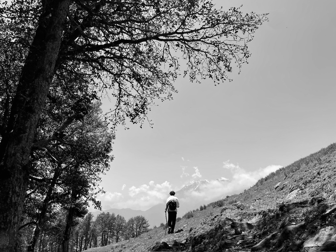 IMG_3853.jpeg