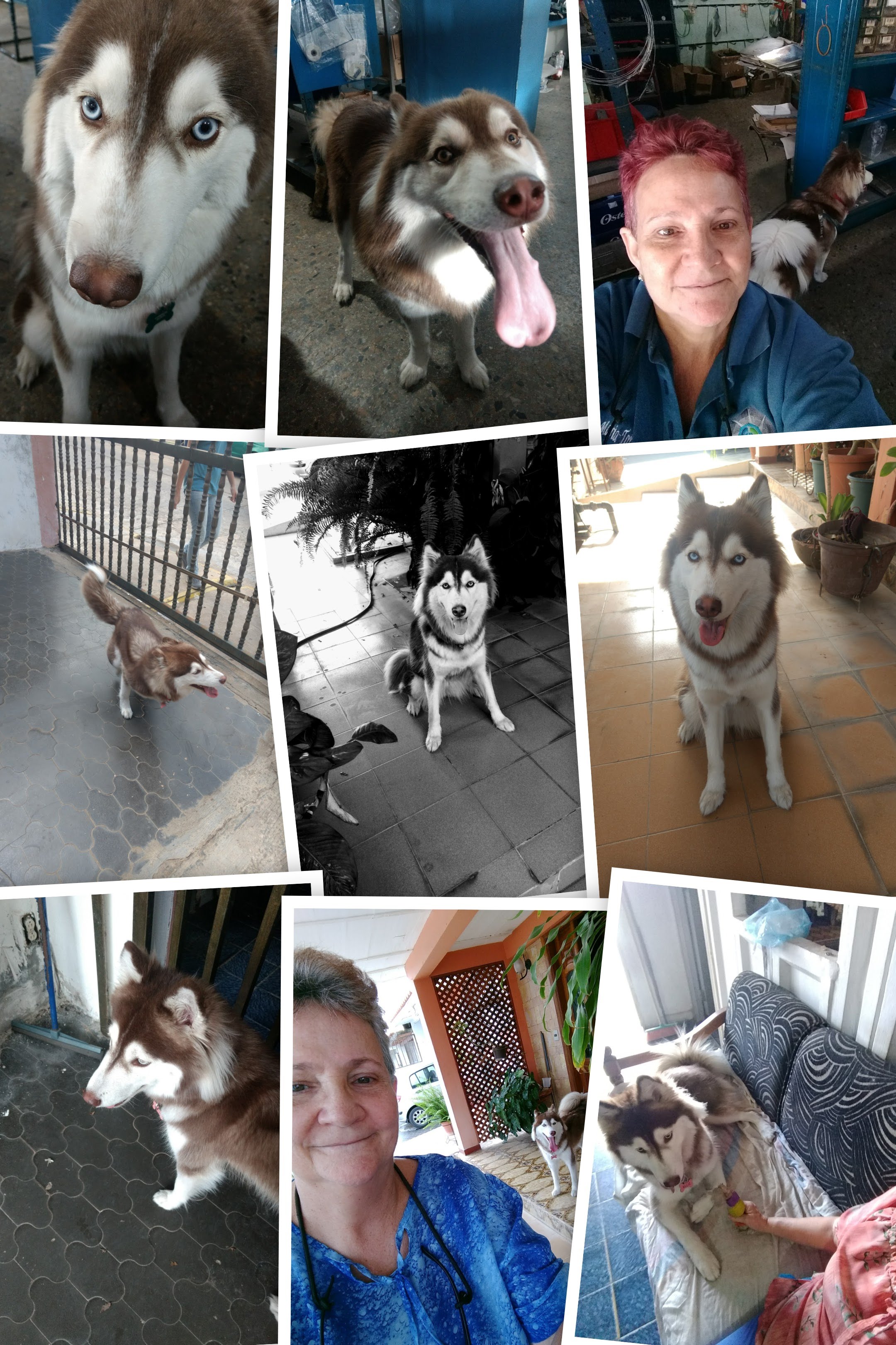 IMG_20191212_093355554-COLLAGE.jpg