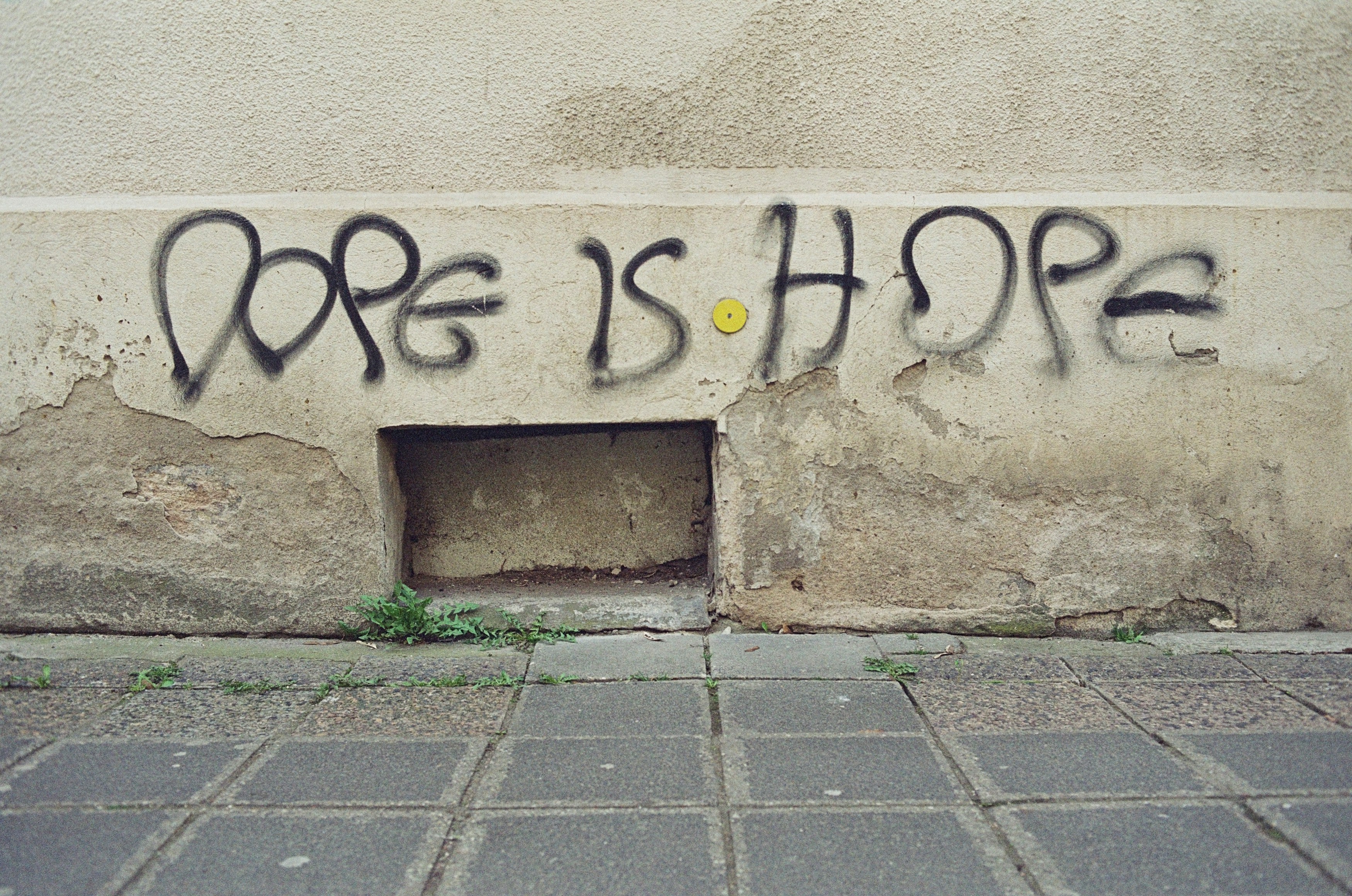 markus-spiske-tArAaPzPWrU-unsplash.jpg