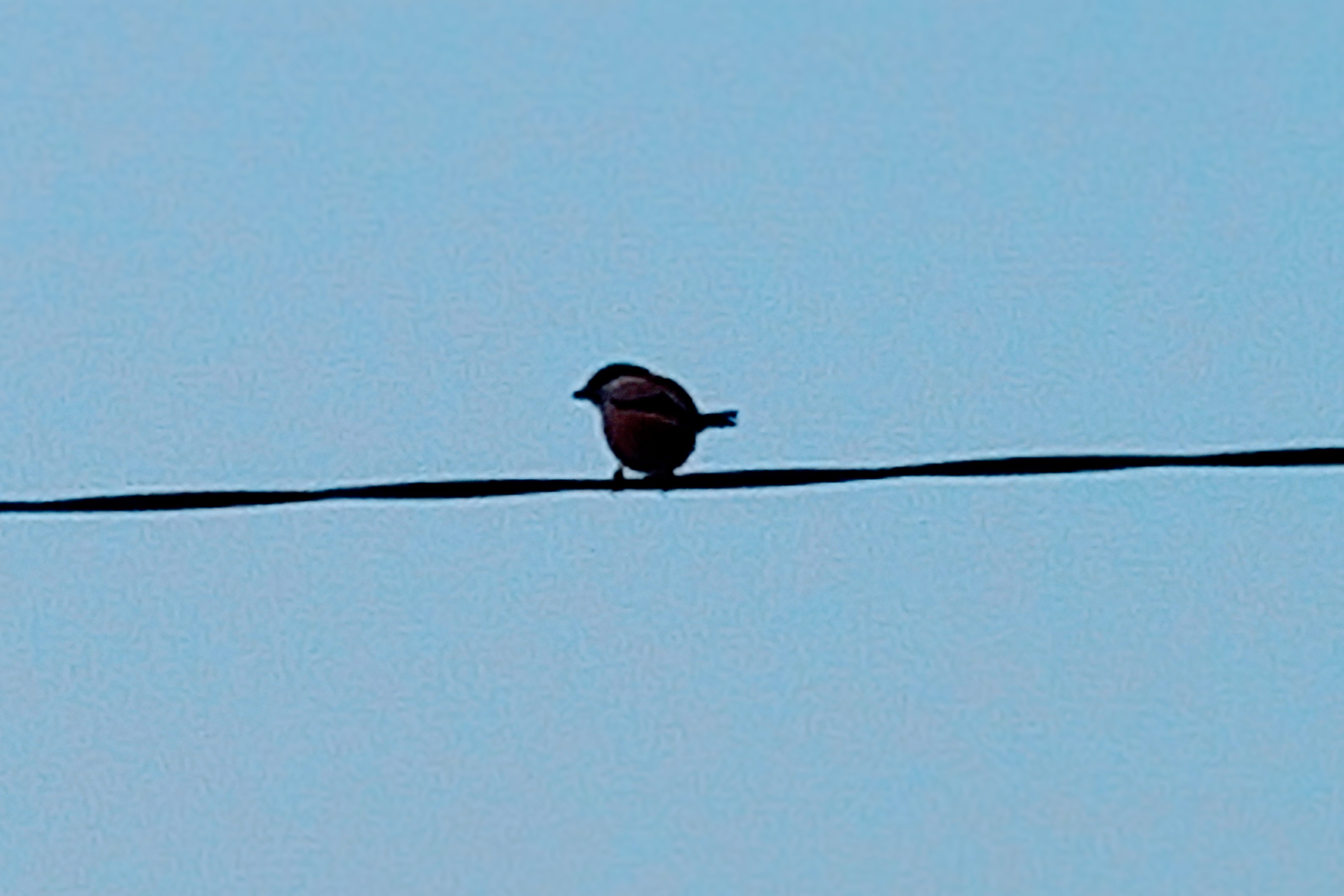 20250211_175001(0)~2.jpg