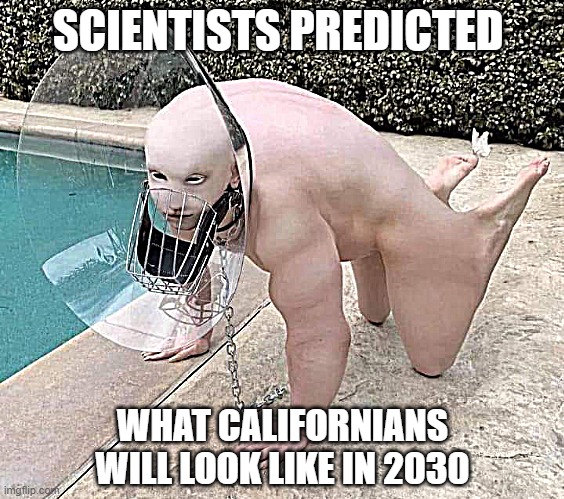 future_californians.jpg