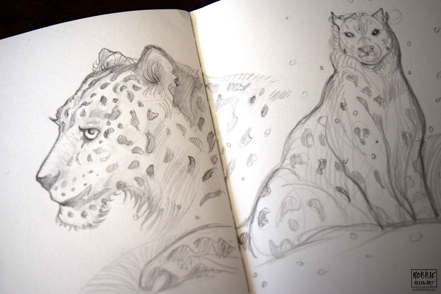 Snow-Leopard-Warm-Up-4-small-robbieallenarti.jpg