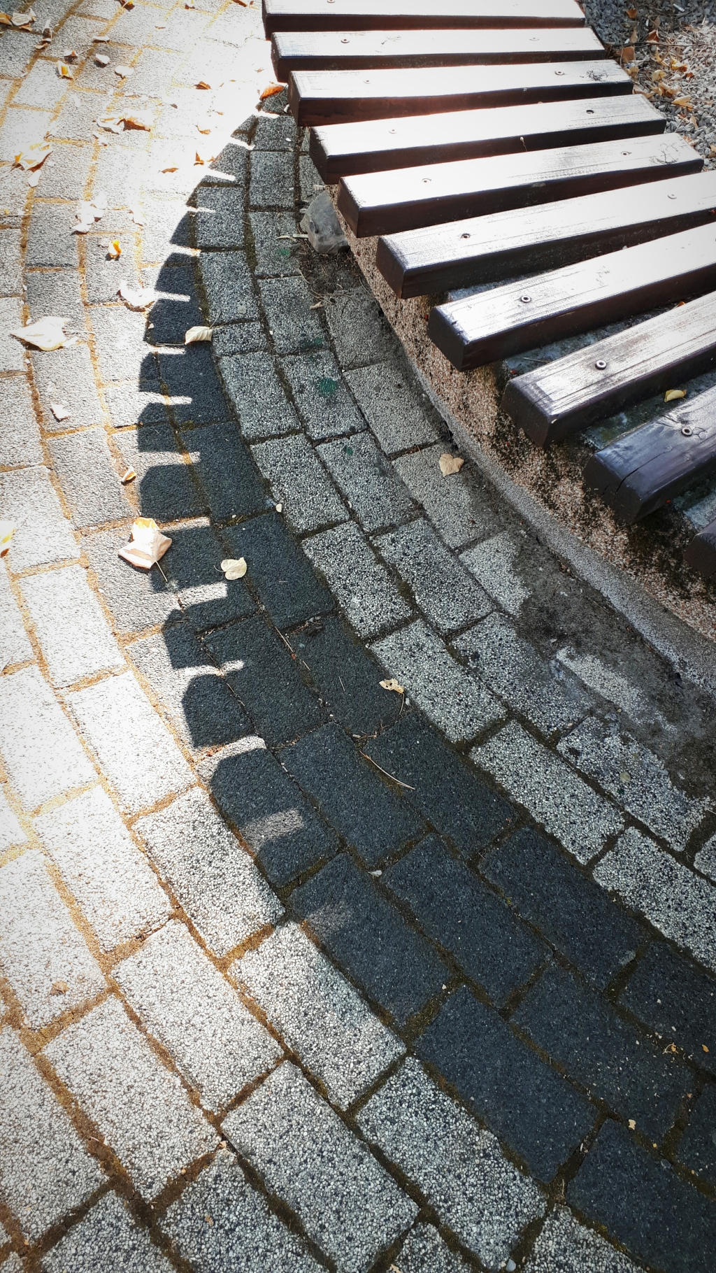 20250808_155146.jpg