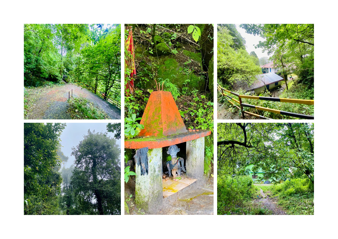Brown and Beige Simple Interior Photo Collage Landscape A3.png