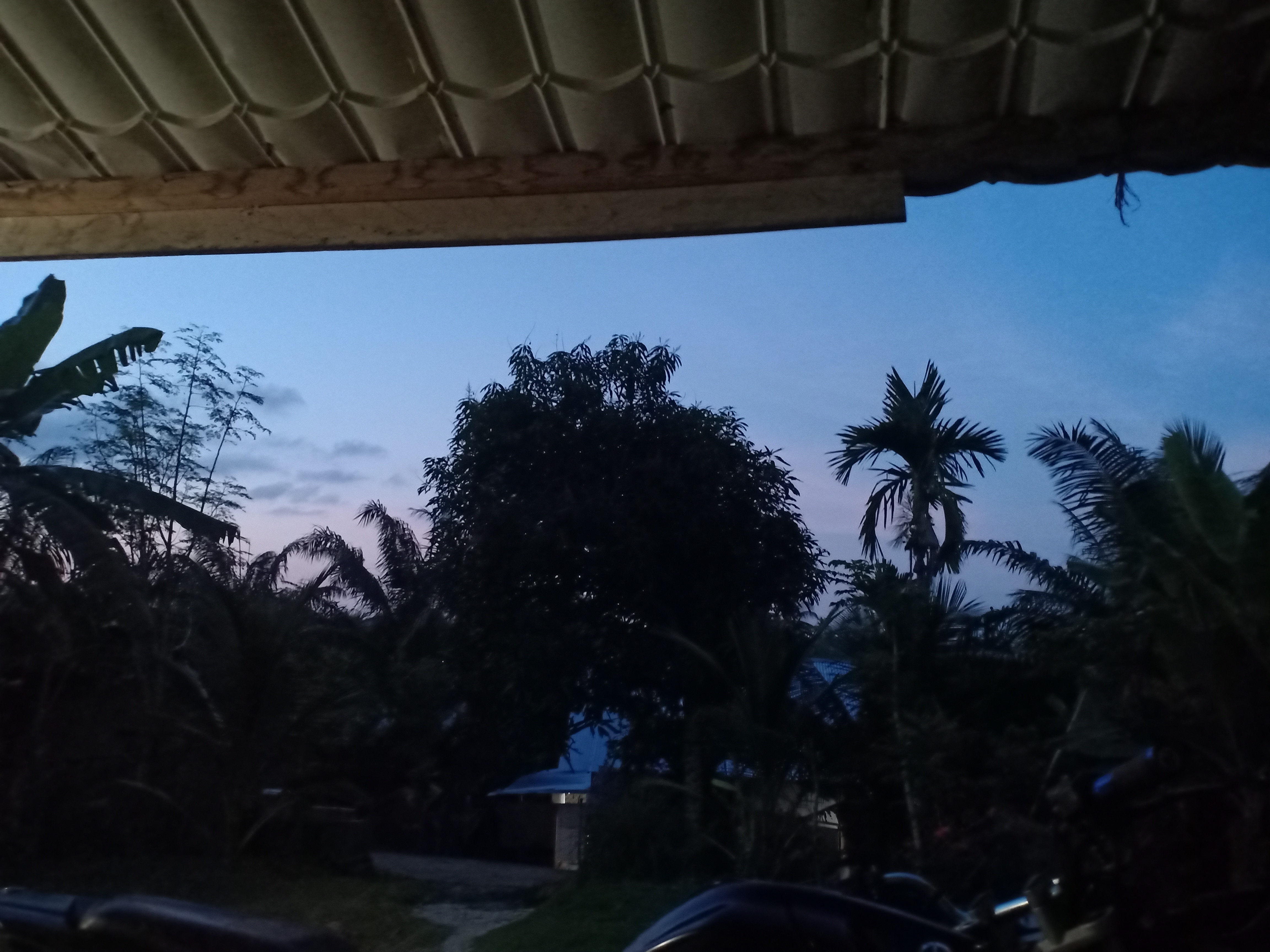 IMG20250301190121.jpg