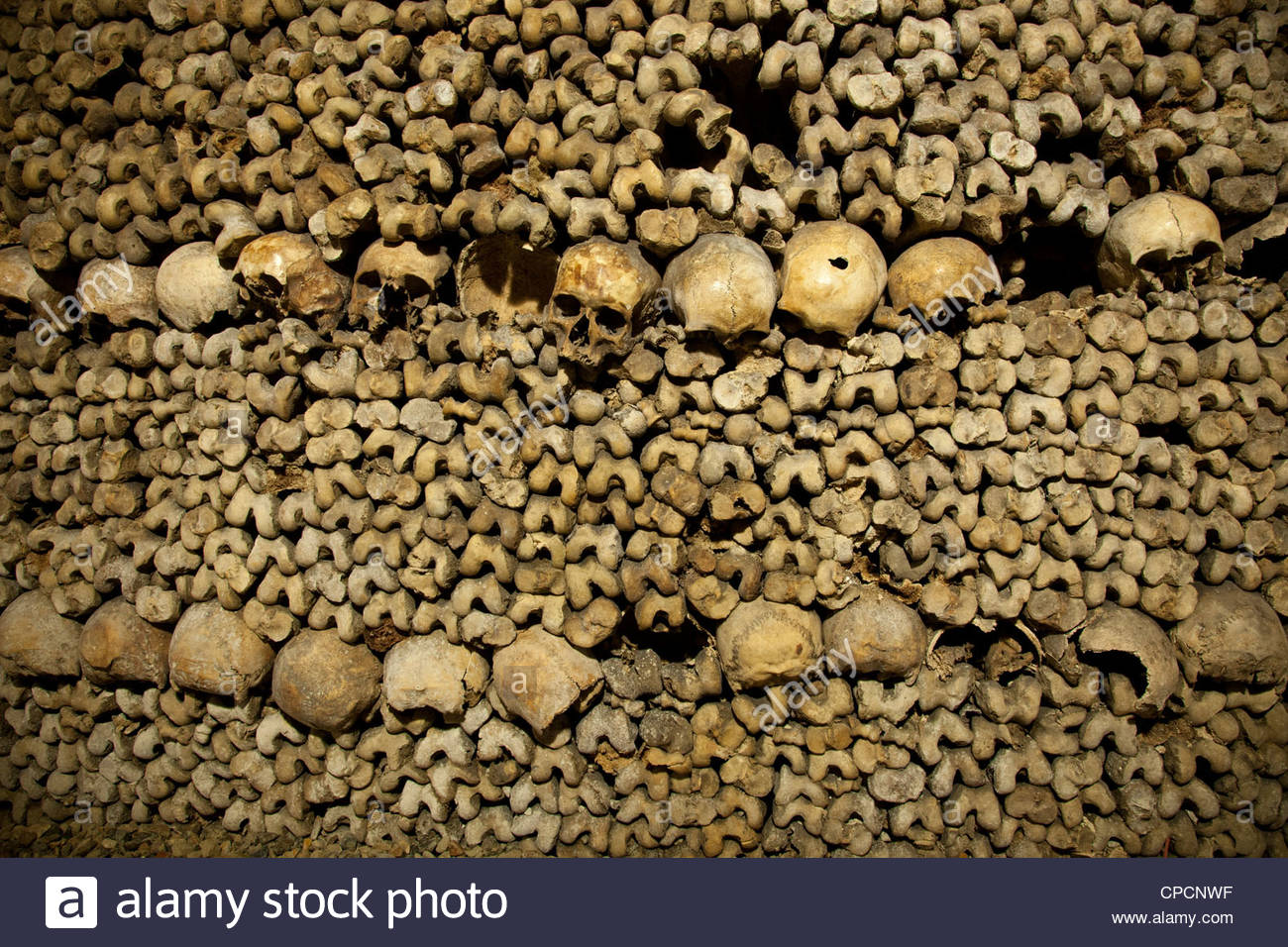 bone-pile-in-the-catacombs-paris-france-CPCNWF.jpg