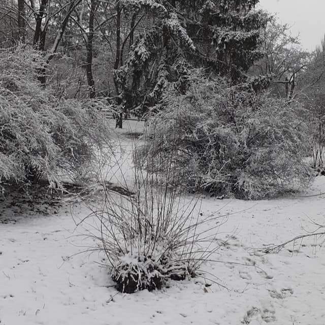 20230325_212859.jpg