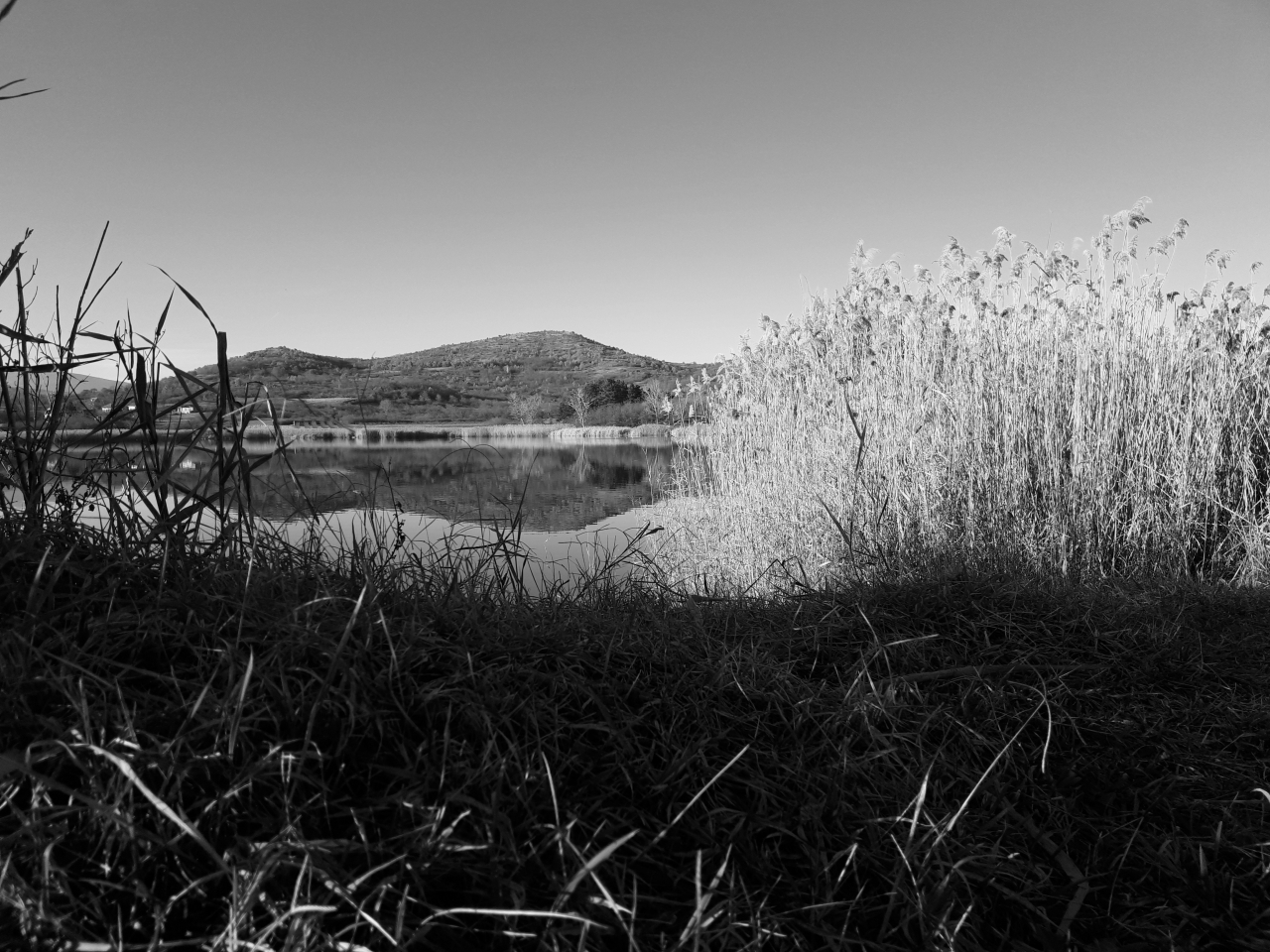 20230108_142951.jpg