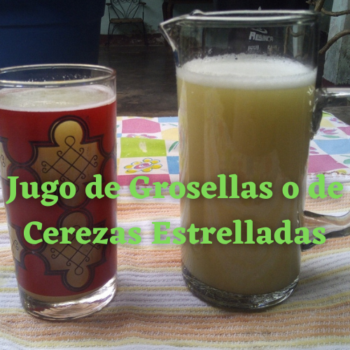 JUGO 1.png