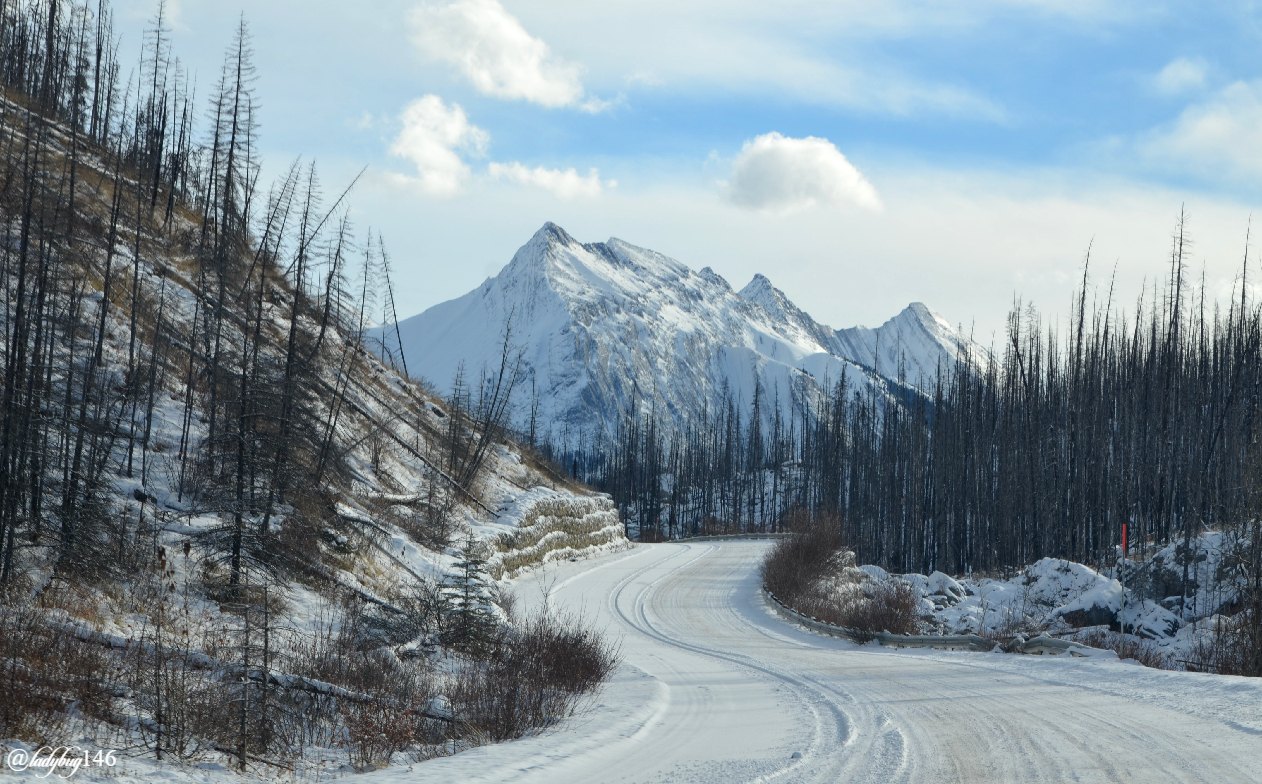 maligne (2).jpg