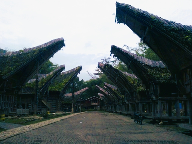 land of tana toraja.jpg