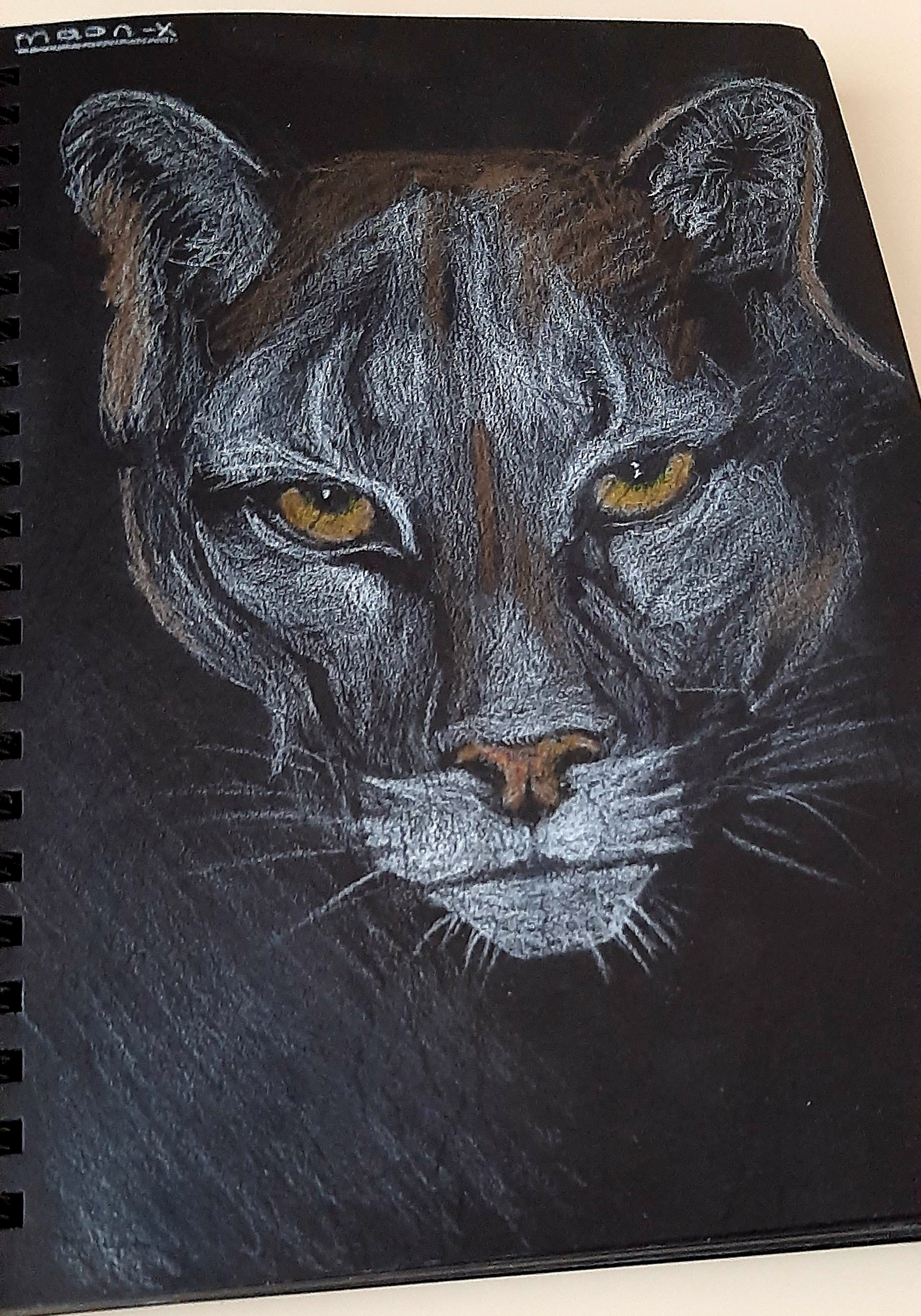 Drawing on Black Paper - [270]: Puma | PeakD