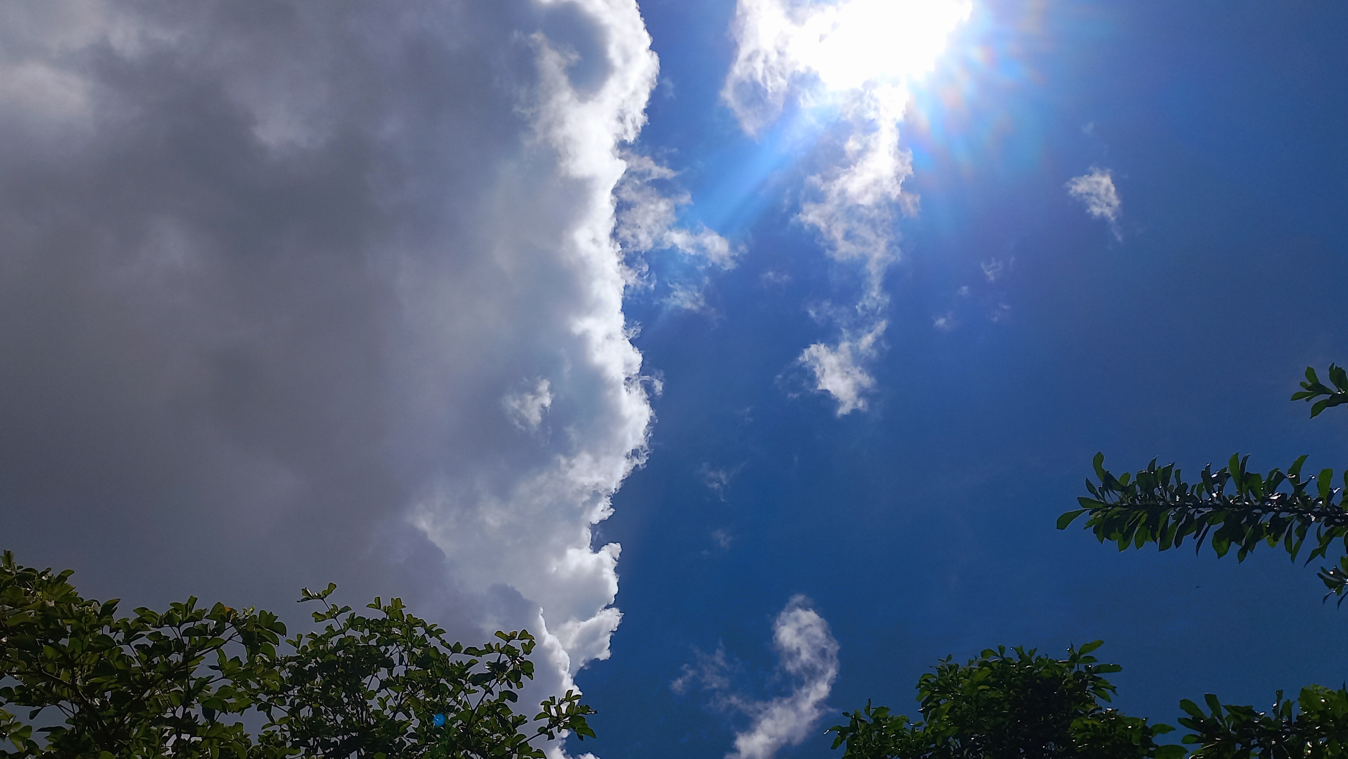 20250722_113141.jpg