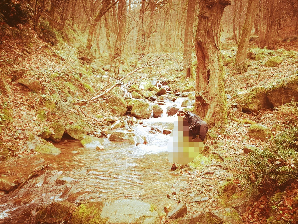 20230208_154629_edit_478031683697368.jpg