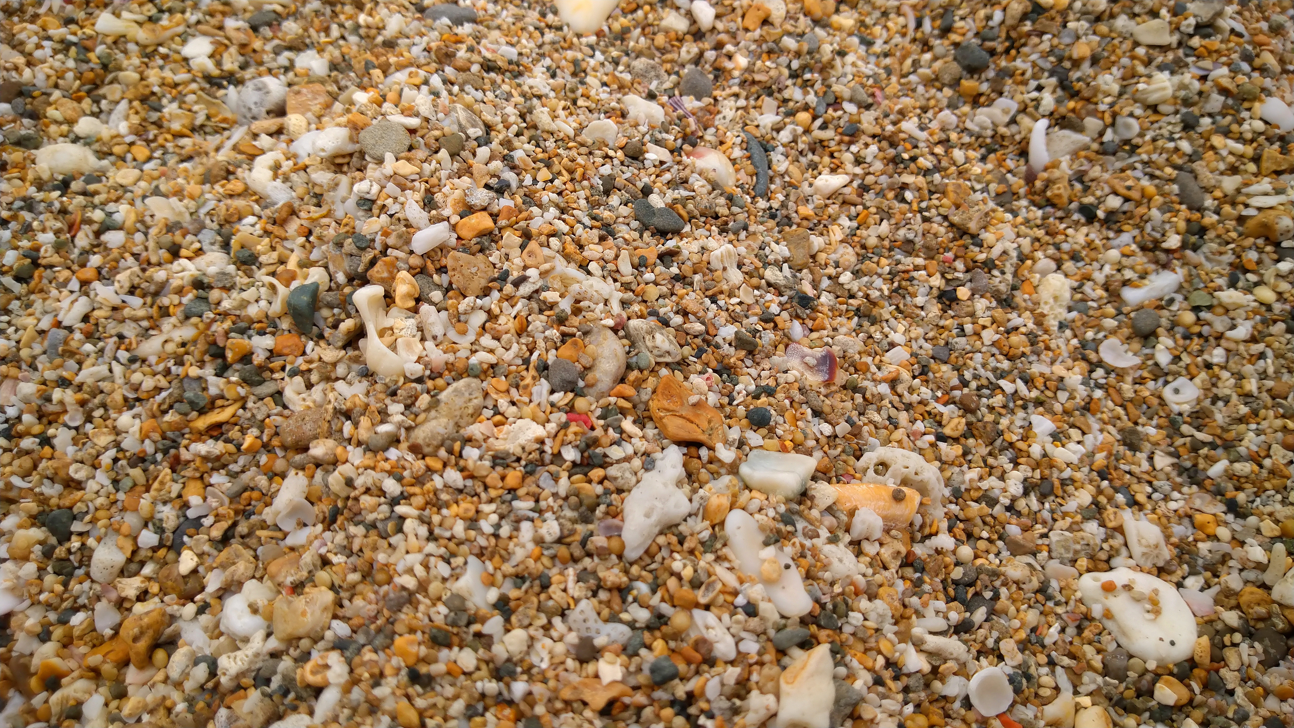 DSC_8128.JPG