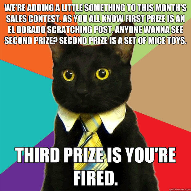3rdPrizeKittah.jpg