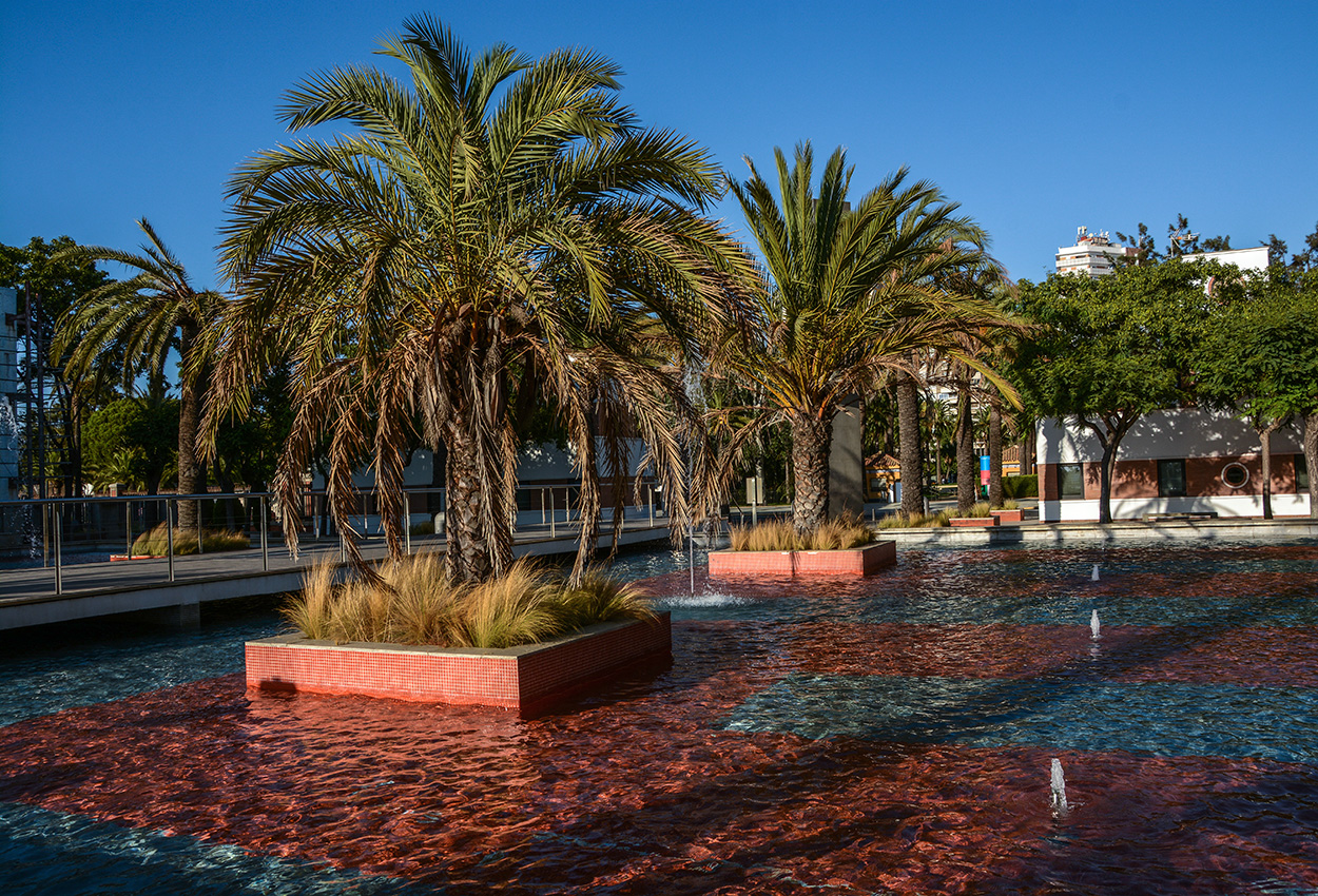 DSC_7487.JPG
