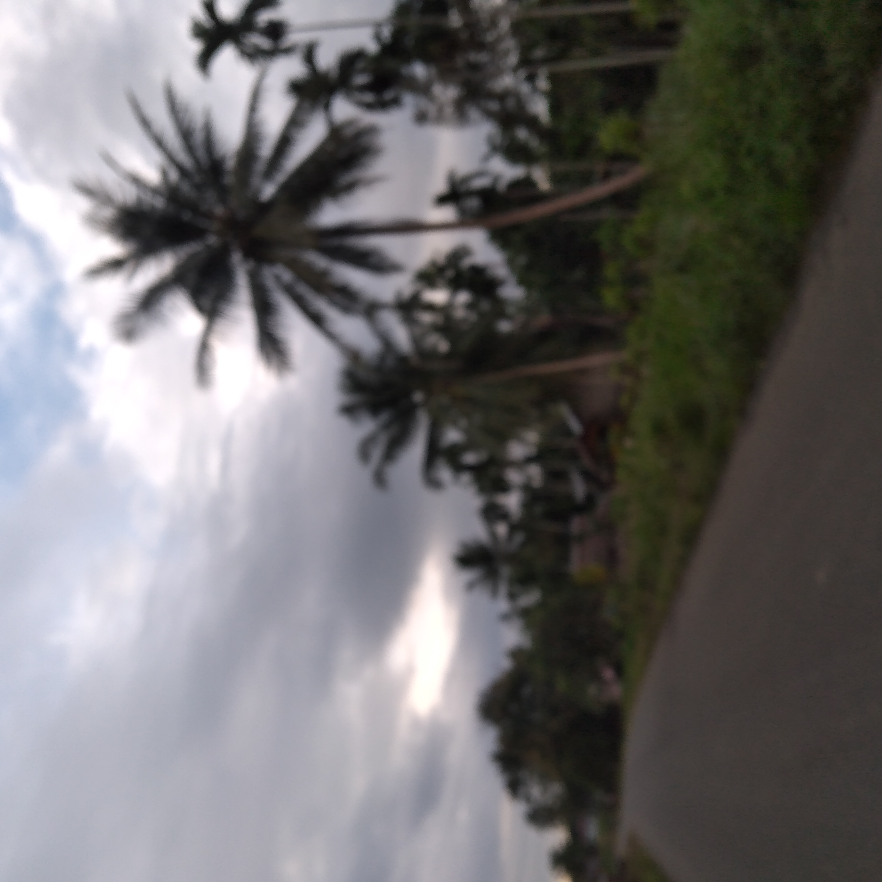 20221228_073803.jpg