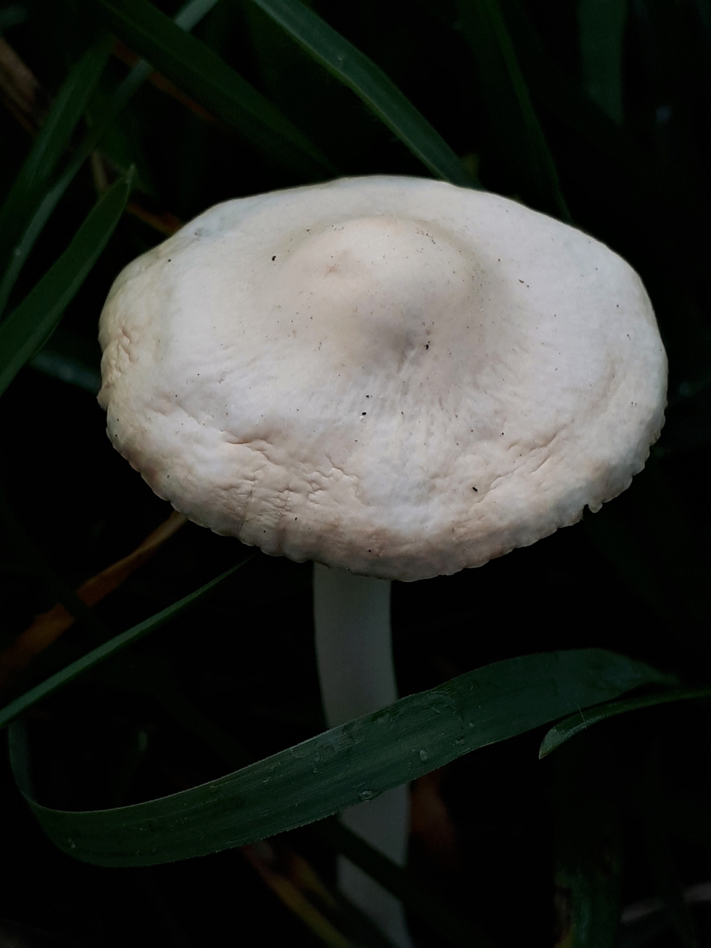 20221003_092410.jpg