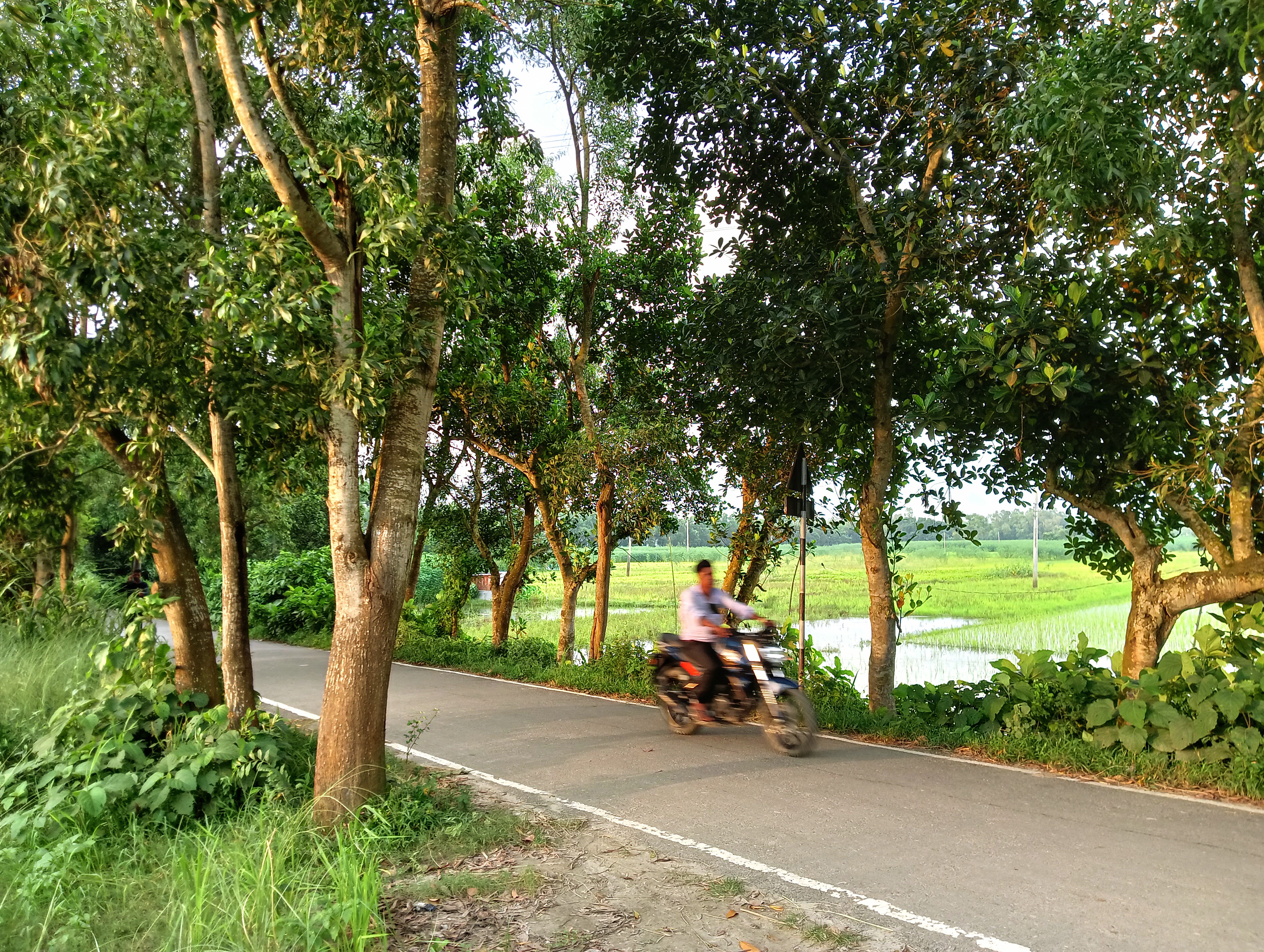 IMG20250815175154.jpg