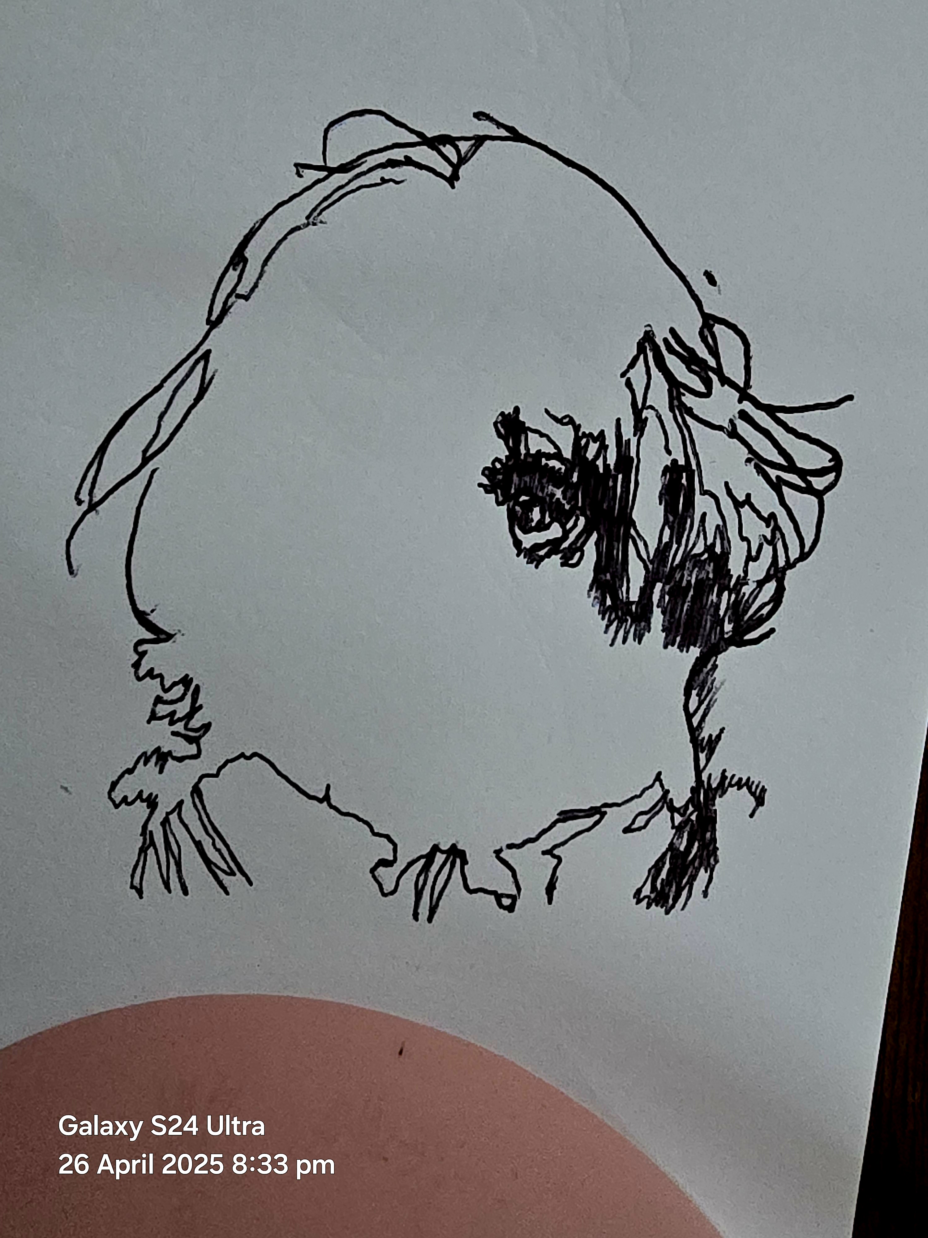 20250426_203310.jpg