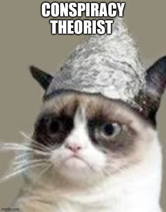 Screenshot 2023-03-02 at 17-30-19 Grumpy Cat Tin Foil Meme Generator - Imgflip.png