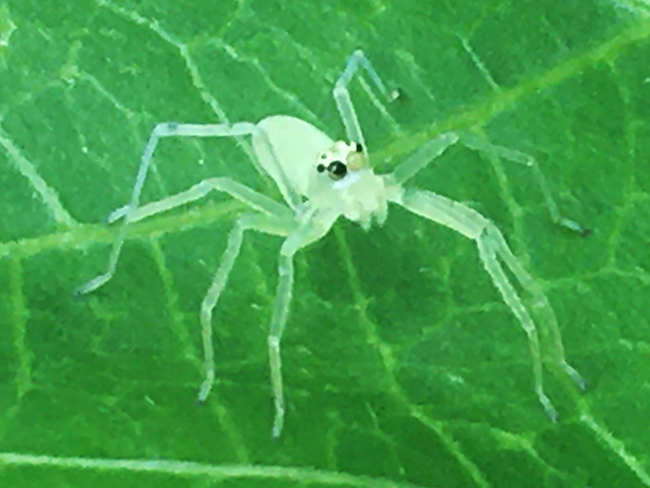 IMG_5654a.png