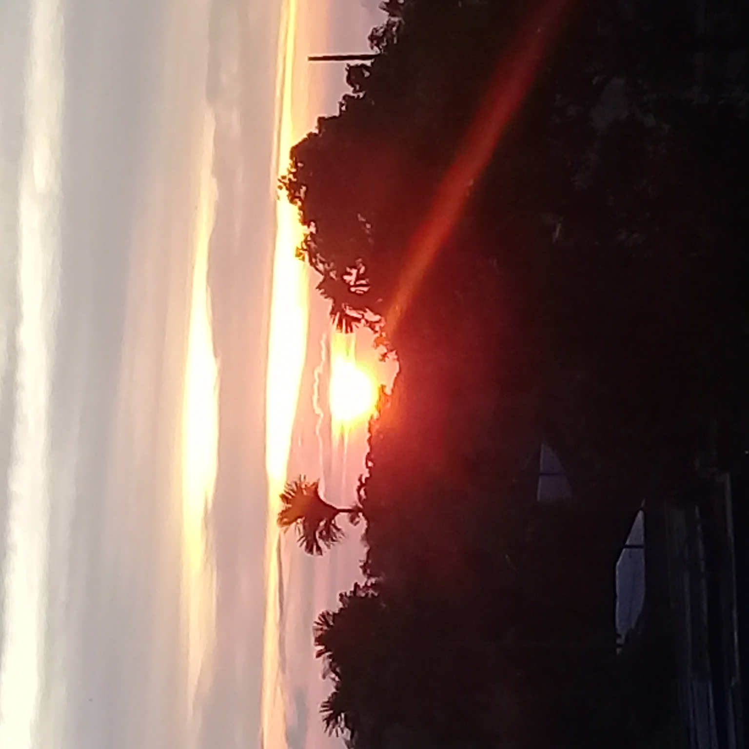 20220806_183128.jpg
