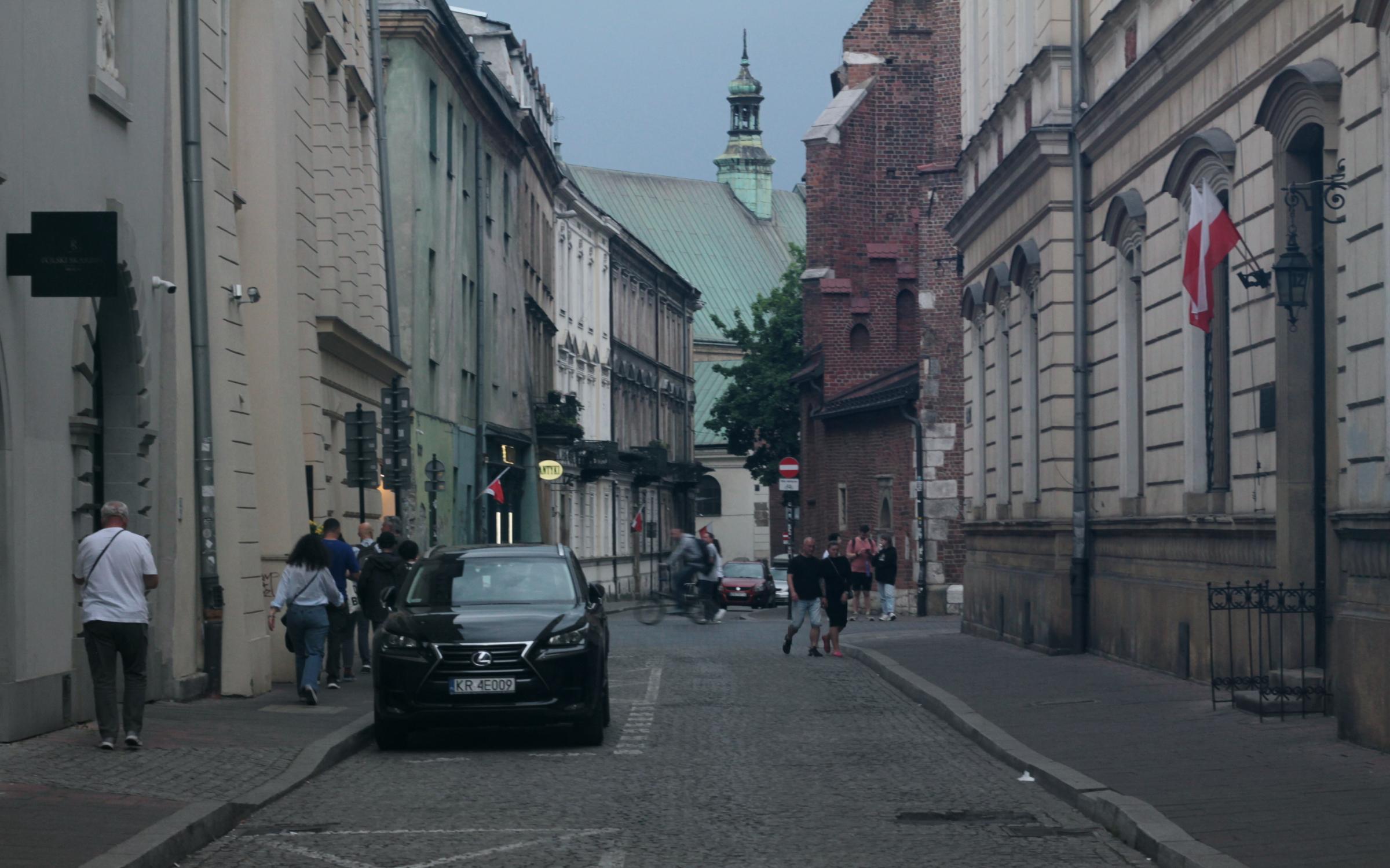 IMG_7080-crop.JPG