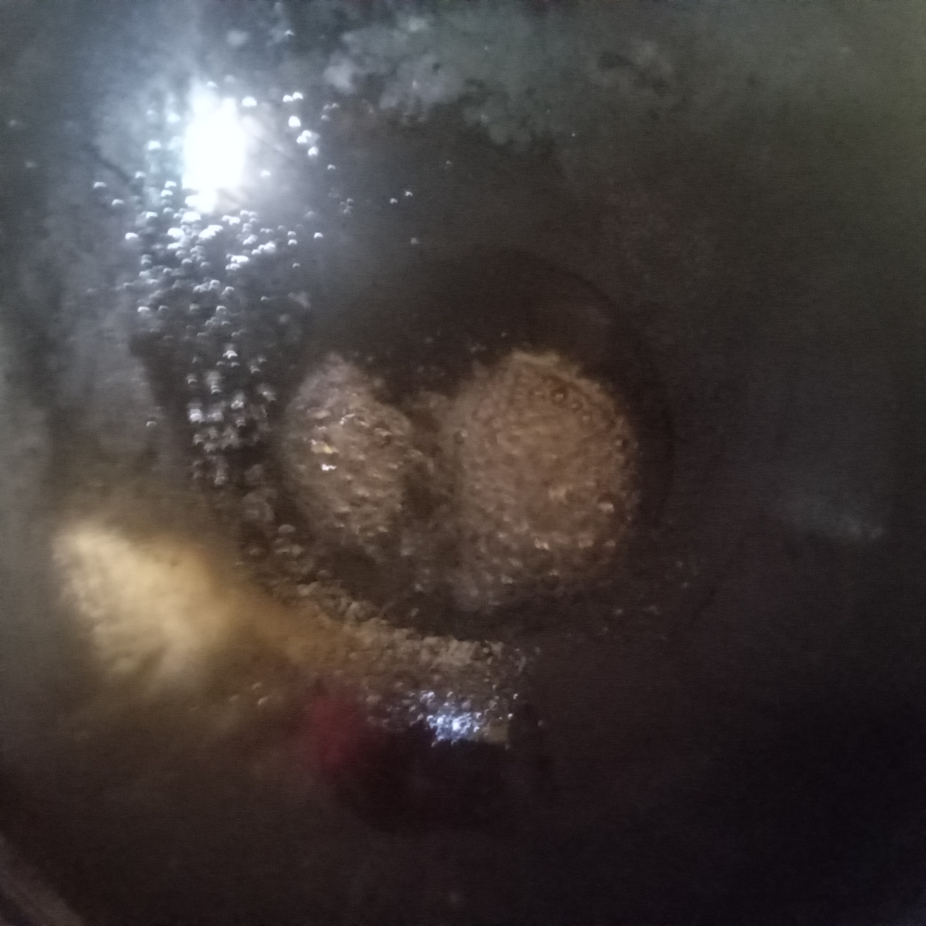 20250329_154539.jpg