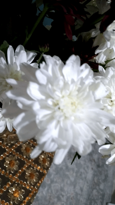 20240120_174802_3.gif