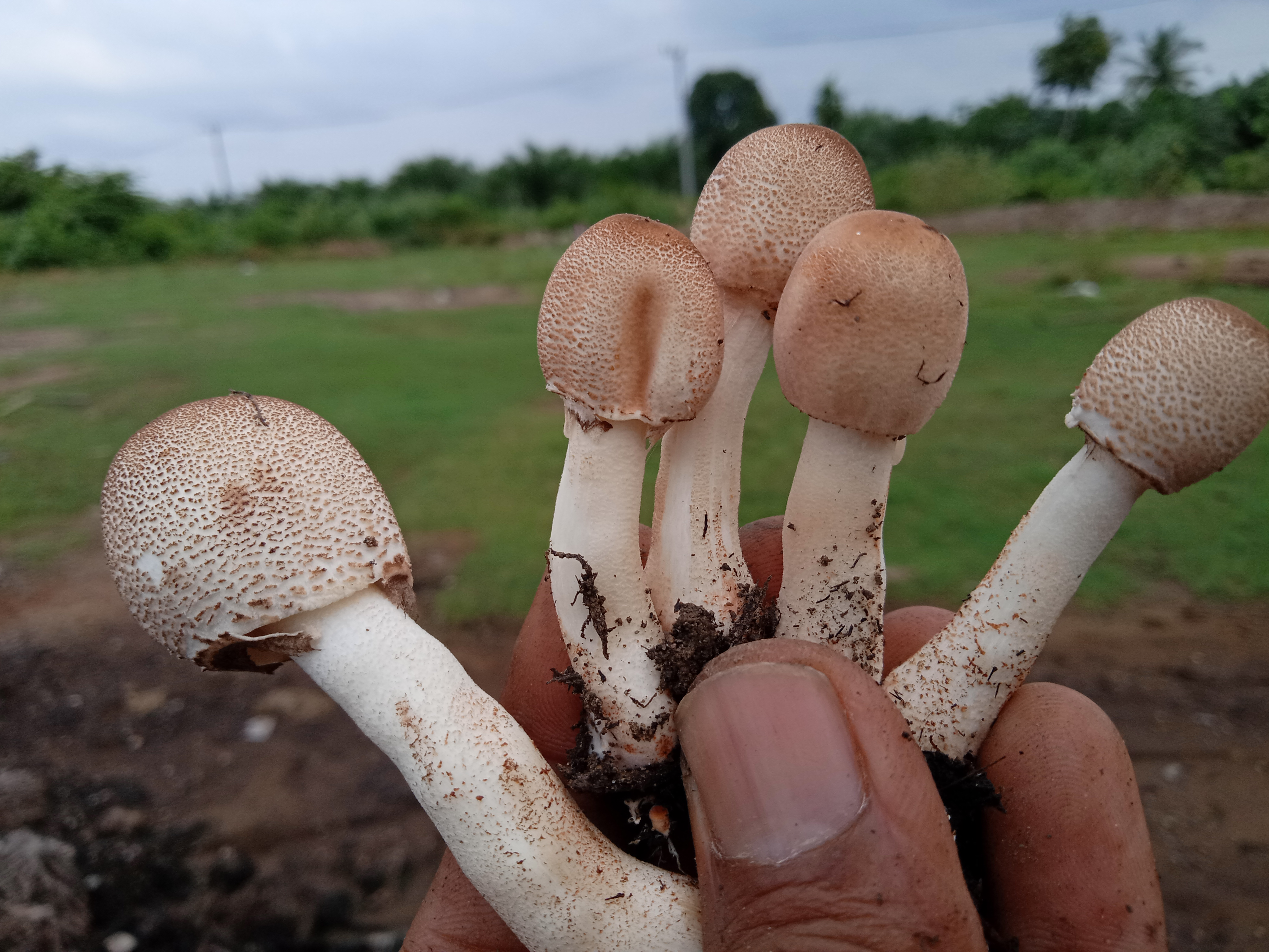 IMG20220512163617.jpg